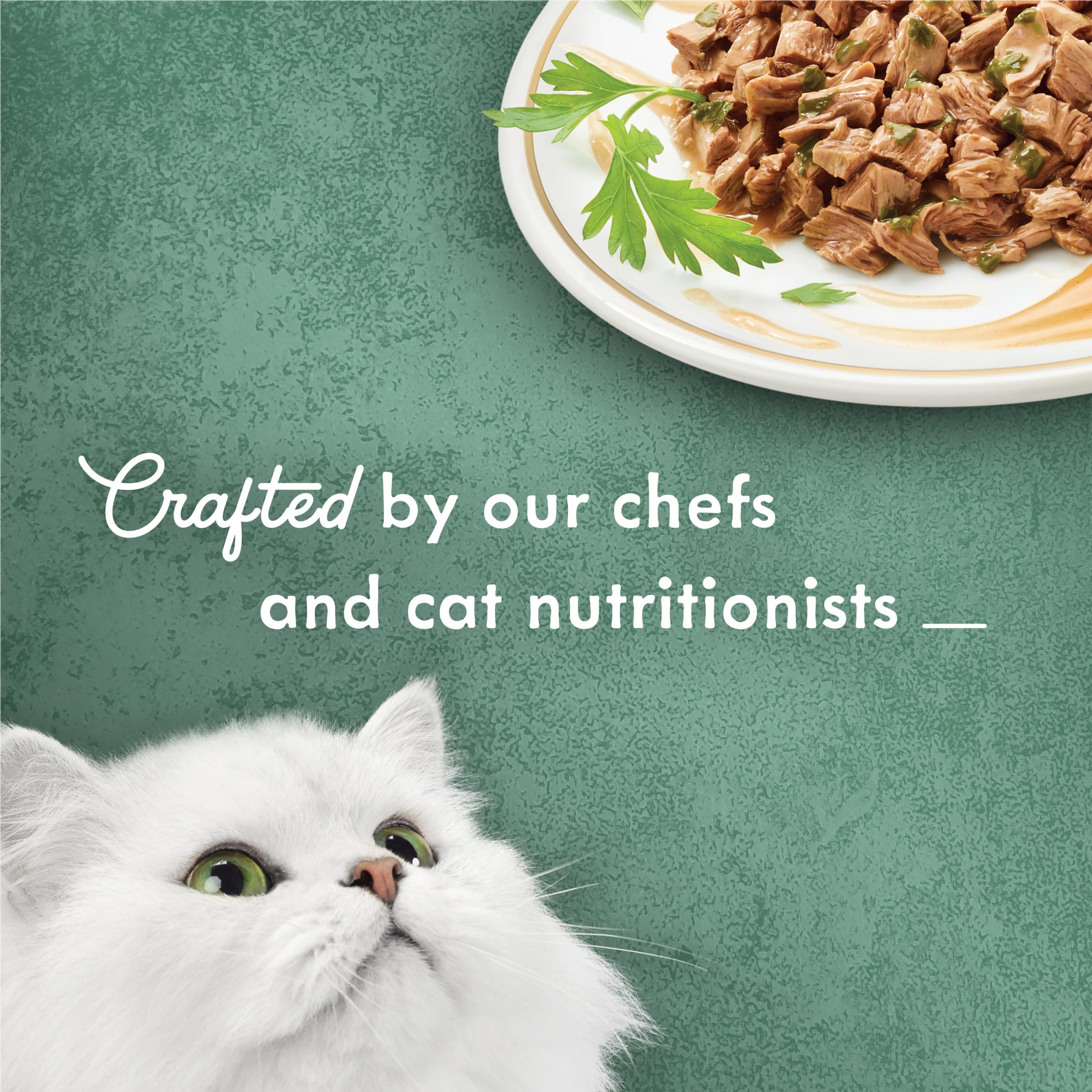 Fancy Feast Wet Cat Food Medleys, Wild Salmon Florentine, 3 oz Cans, Pack of 24