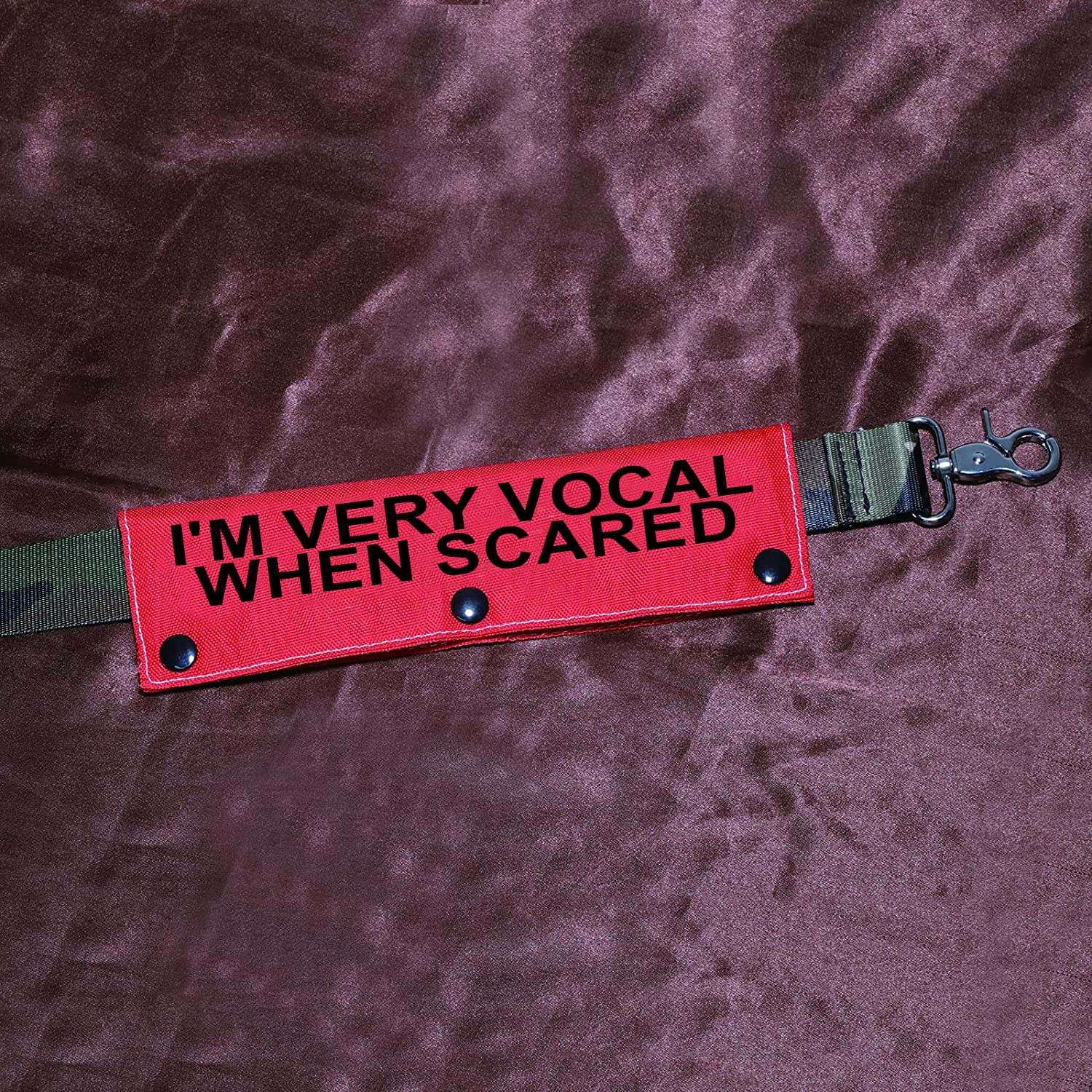 Funny Dog Leash Sleeve I'M Very Vocal When Scared Dog Leash Wrap Sleeve Pet Birthday Gift (I'M Very Vocal-Sleeve)