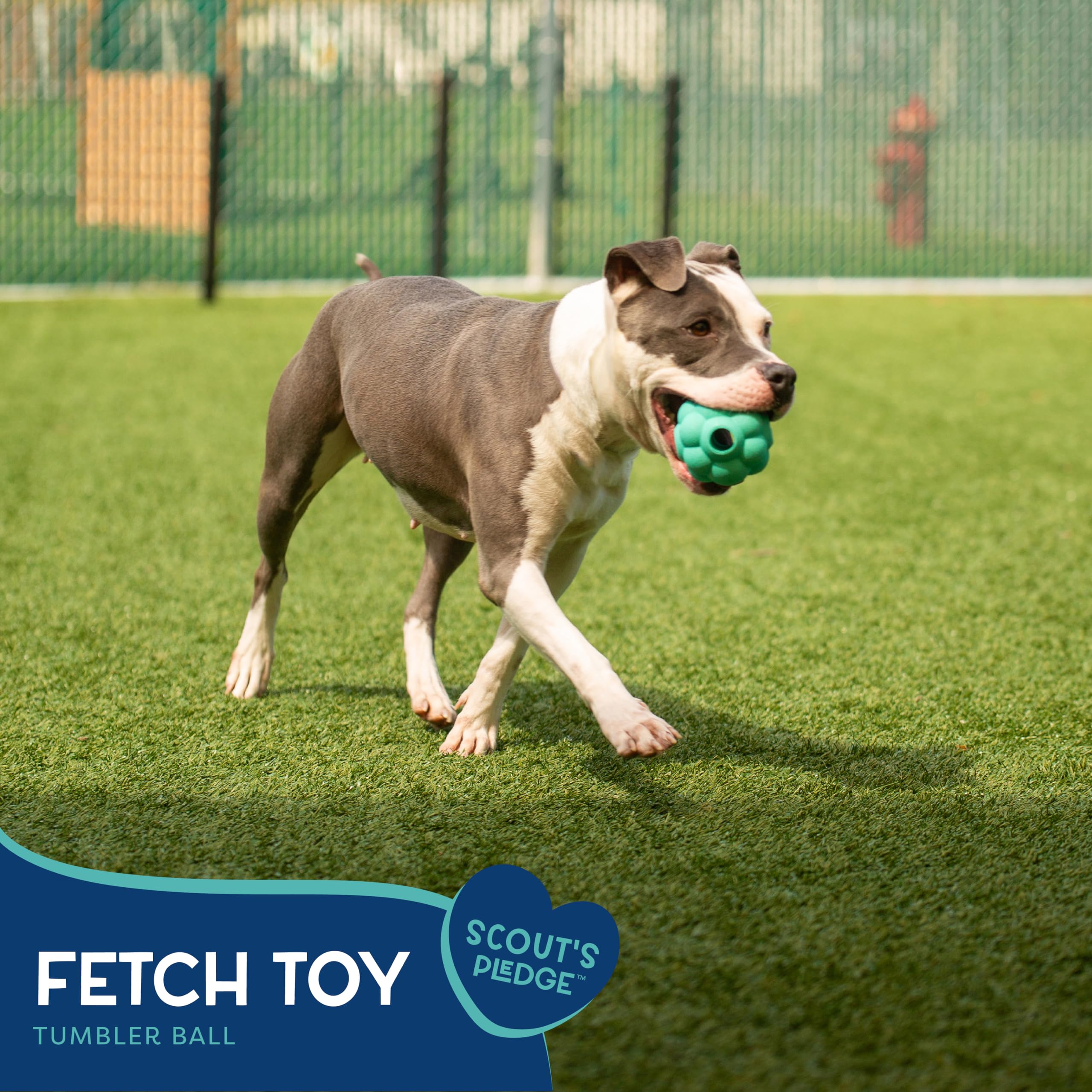 Scout Tugg Frisbee - Dog Toy For Tugging, Chewing & Fetch - Aggressive Chew Toy For Medium & Large Dogs
