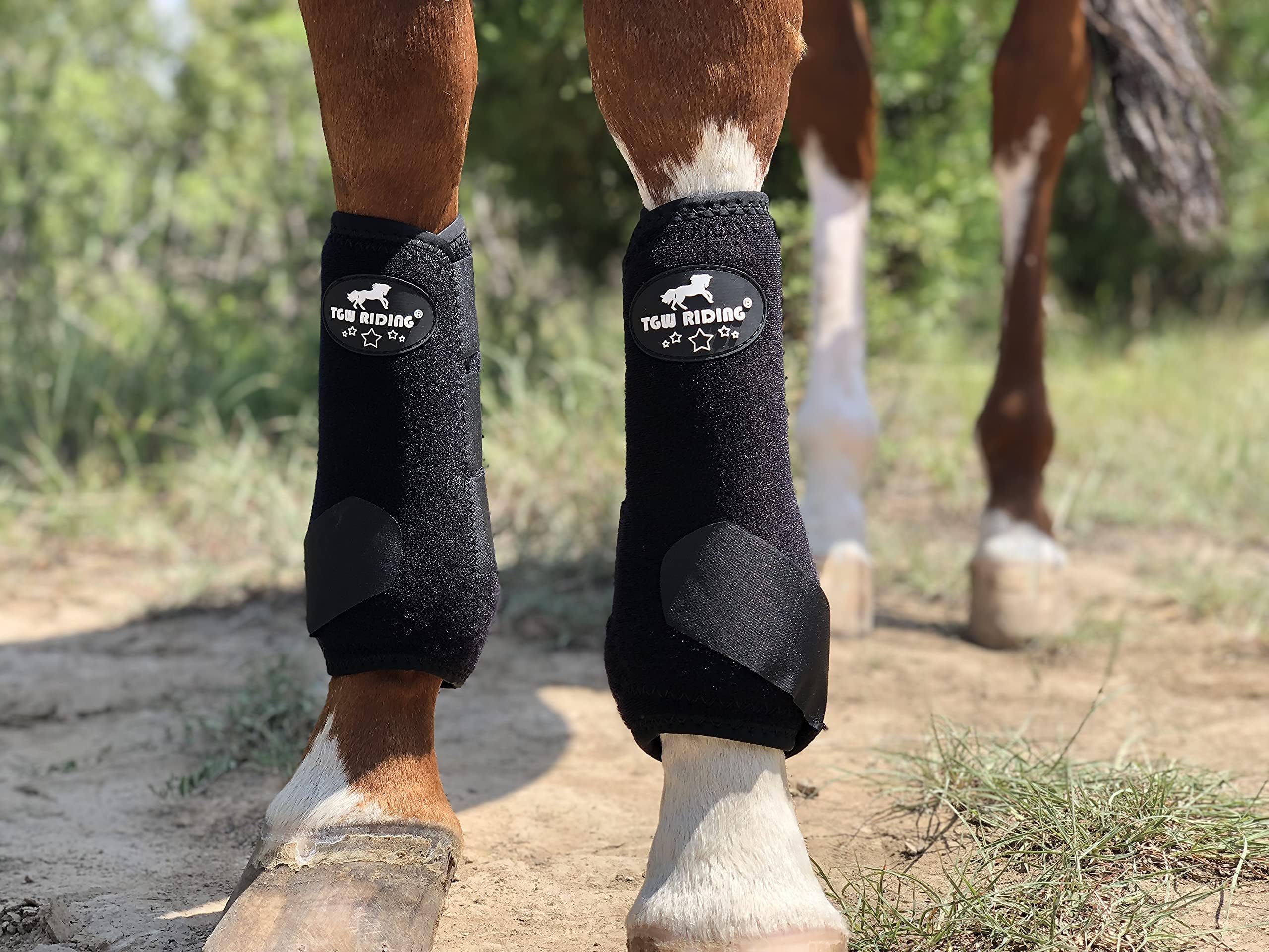 Tgw Riding Equine Sports Medicine Ventech Elite Front Leg Boot, Pair (Black, S)