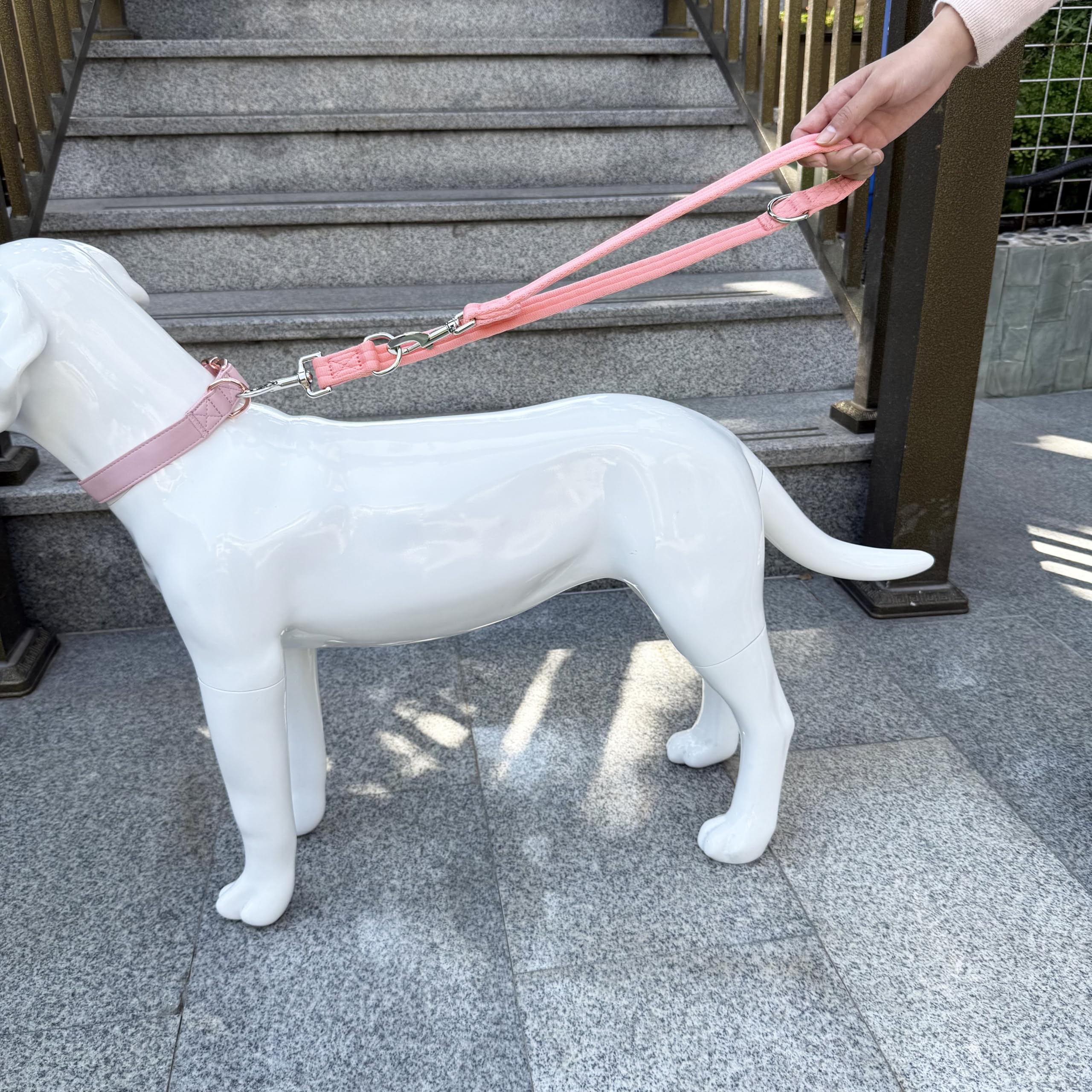 Double Ended Dog Leash,For Obedience Training Easy To Use,Lightweight,Soft For Large And Medium Dogs (Pink, 1M*2.5Cm)