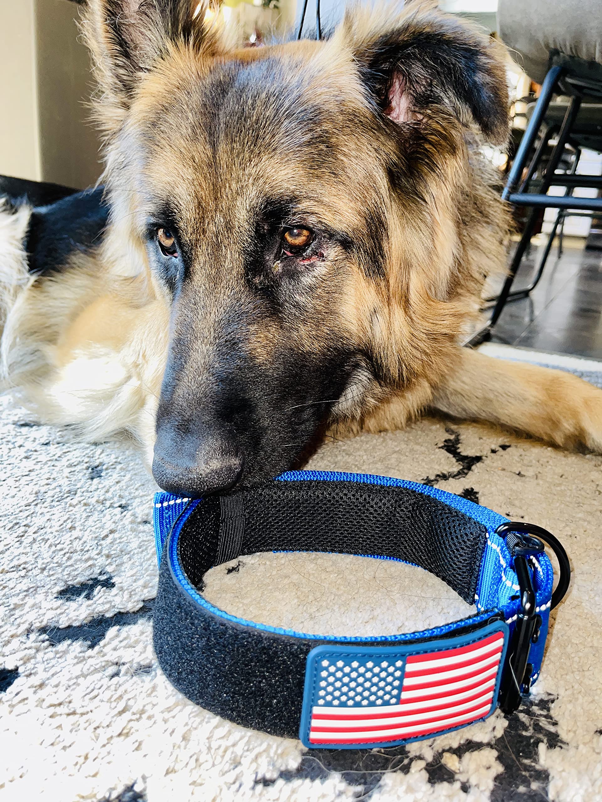 2' Personalized Tactical Dog Collar - Wide Thick Military Style With Strong Belt Buckle Closure - American Flag Patch - Reflective - Med And Xl Sizes For Large And Giant Dogs (20'-28', Blue)