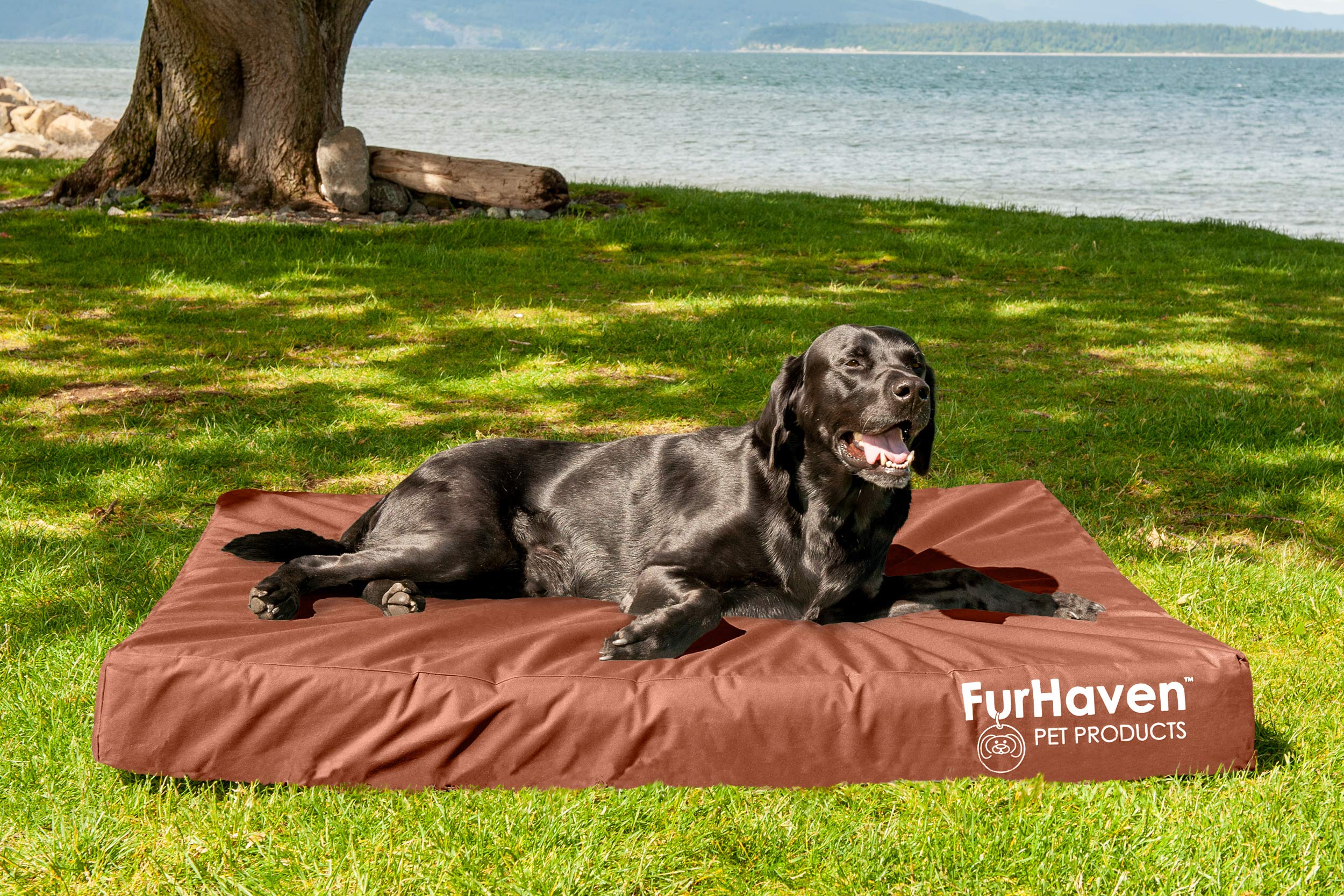 Furhaven Water-Resistant Orthopedic Dog Bed for Large Dogs w/ Removable Washable Cover, For Dogs Up to 125 lbs - Indoor/Outdoor