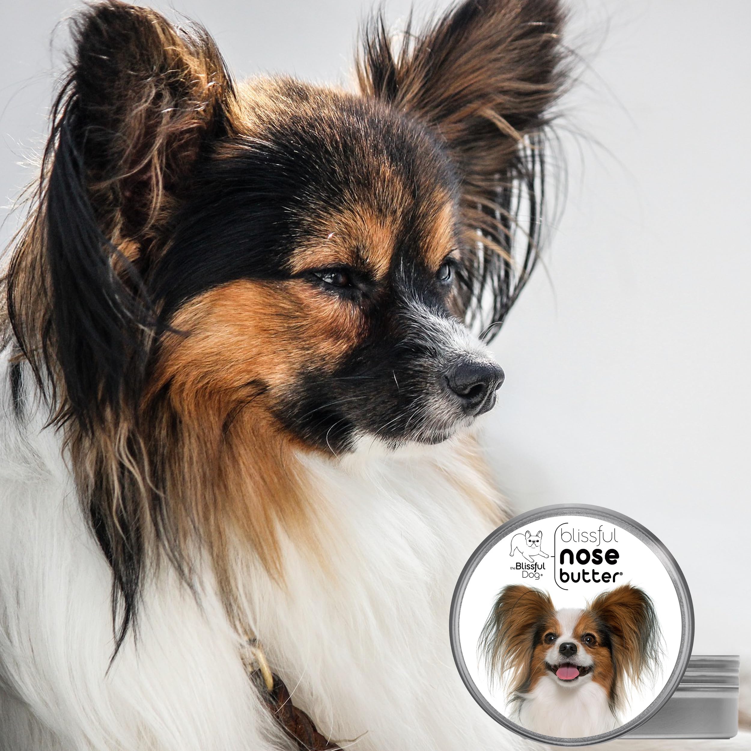 The Blissful Dog Papillon Unscented Nose Butter - Dog Nose Butter, 16 Ounce