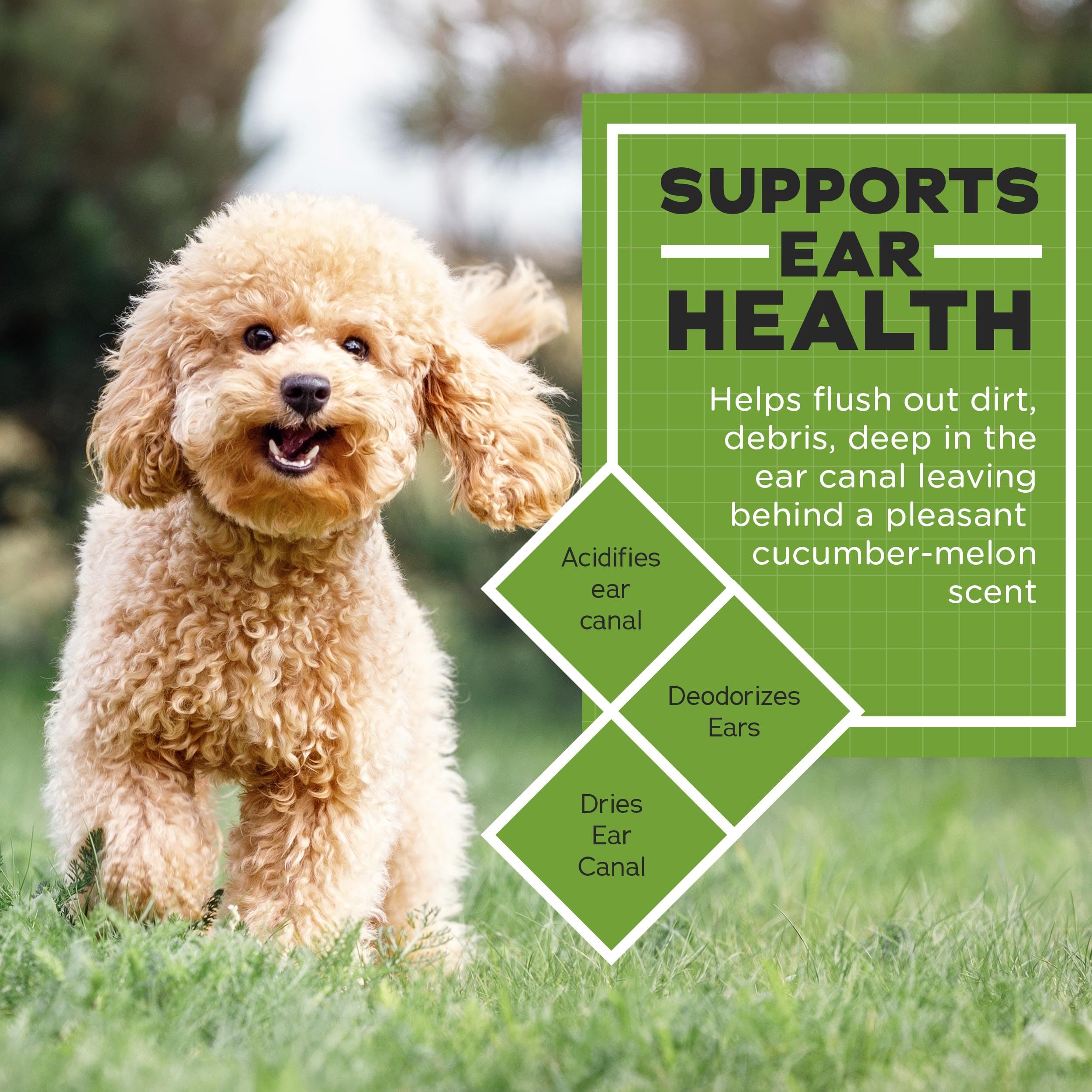 Vetwell Ear Cleaner For Dogs And Cats - Otic Rinse For Infections And Controlling Ear Infections And Odor In Pets - 8 Oz (Cucumber Melon)