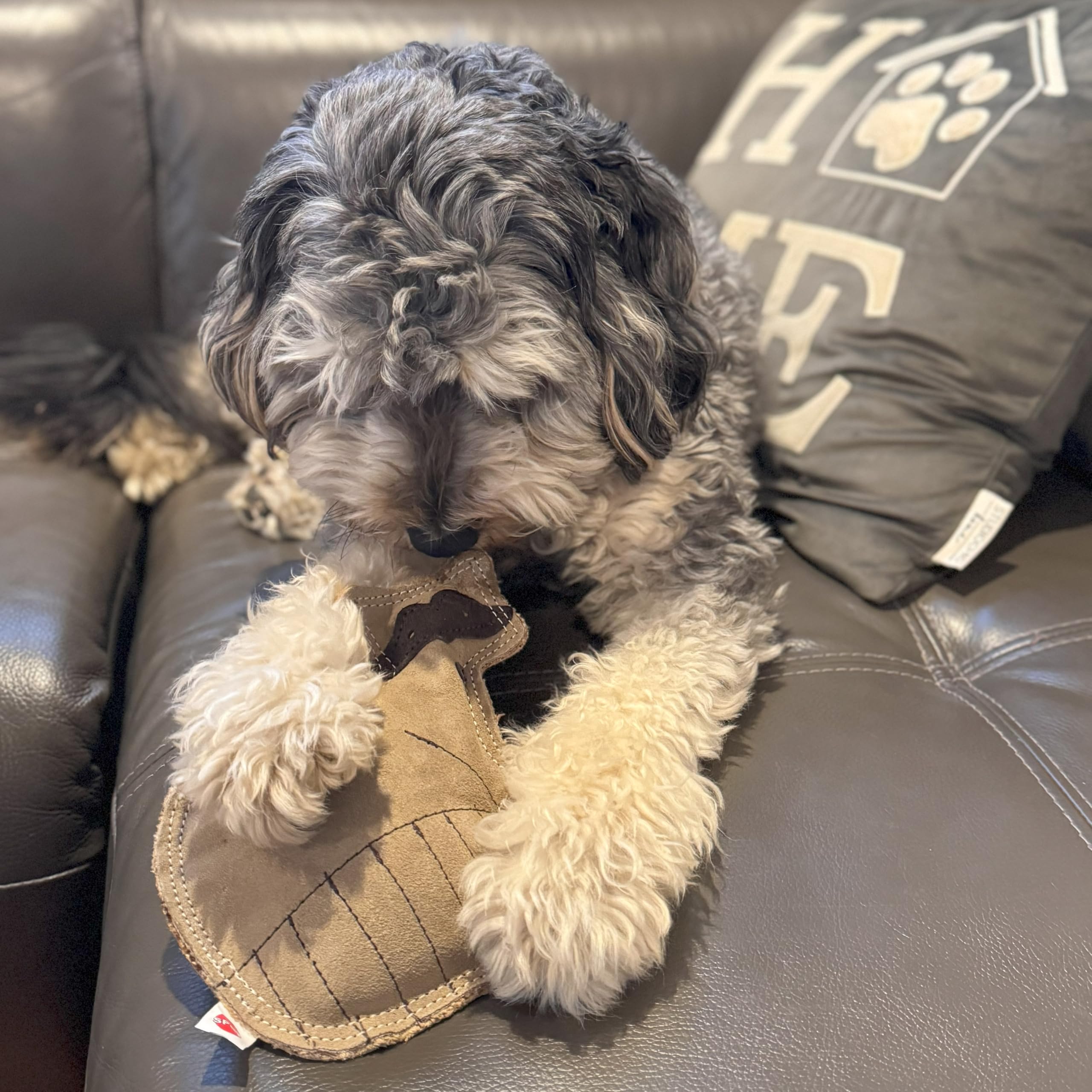 Spot Dura-Fused Leather Raccoon - Dog Toy With Squeaker, Made With Real Leather And Jute Fabric, Interactive Toy For Aggressive Chewers, Durable Squeaky Toy For Dogs And Puppies, 7.25In