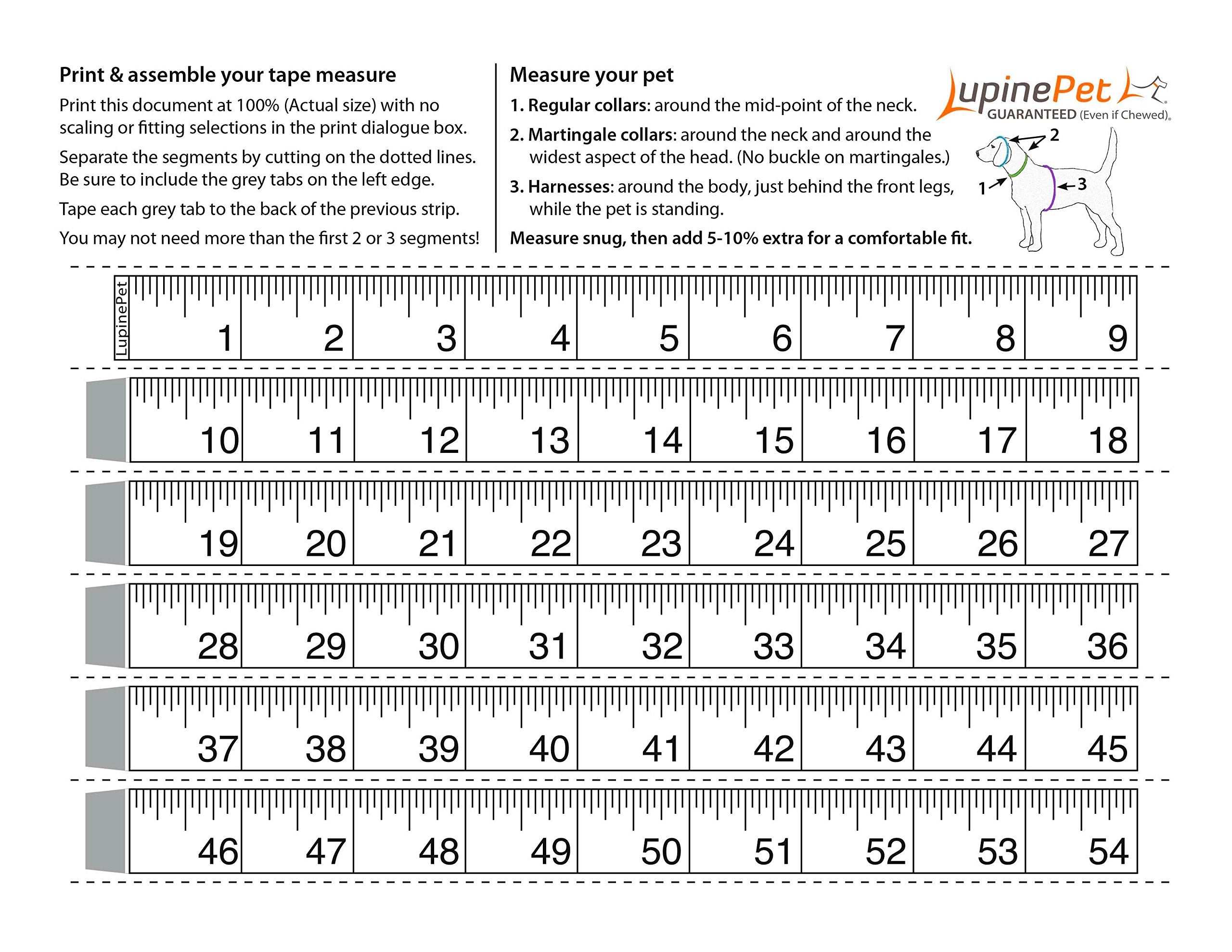 Lupinepet Basics 3/4' Green 15-21' Step In Harness For Small Dogs