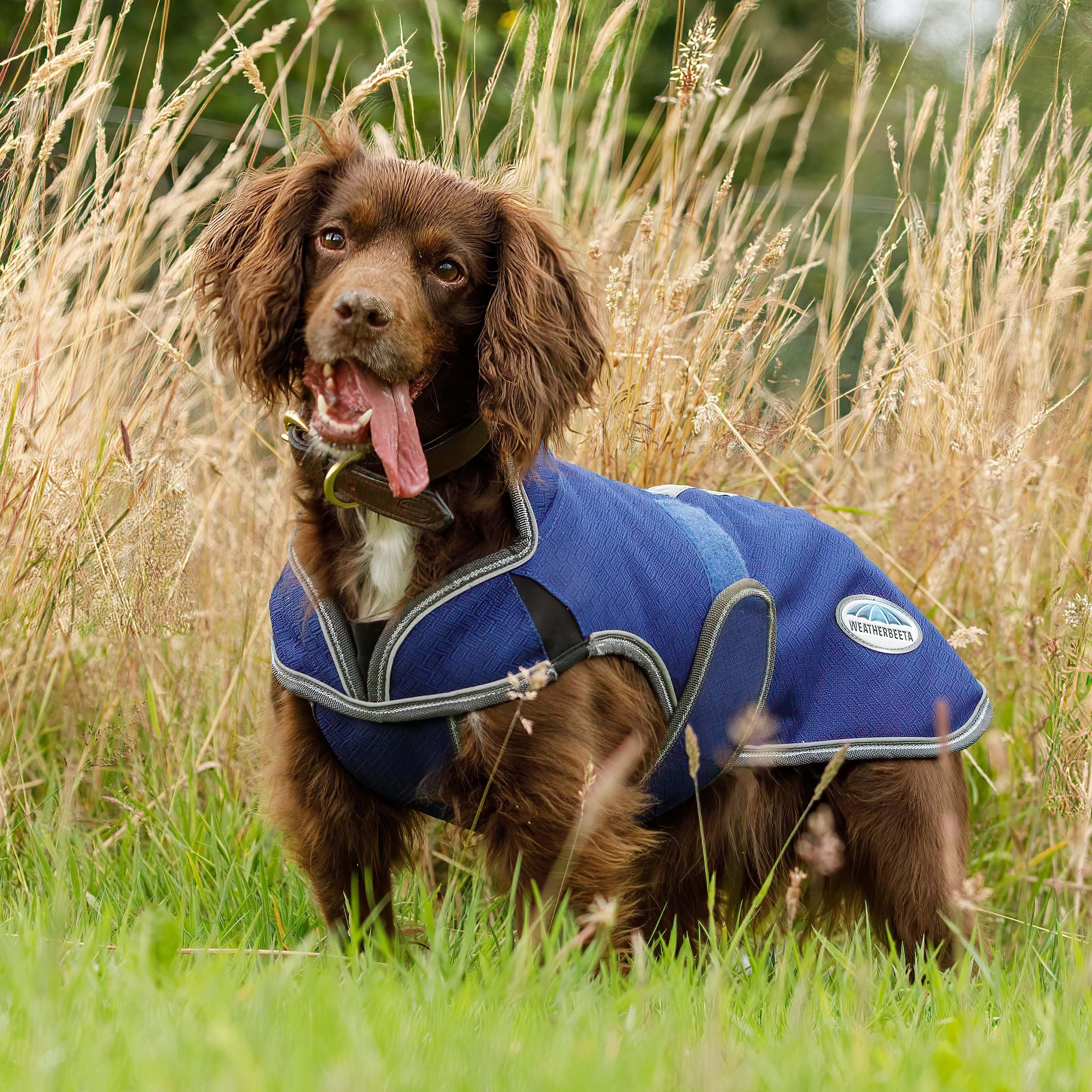 Weatherbeeta Comfitec Premier Free Parka Deluxe Dog Coat Medium, Dark Blue/Grey/White, 32'