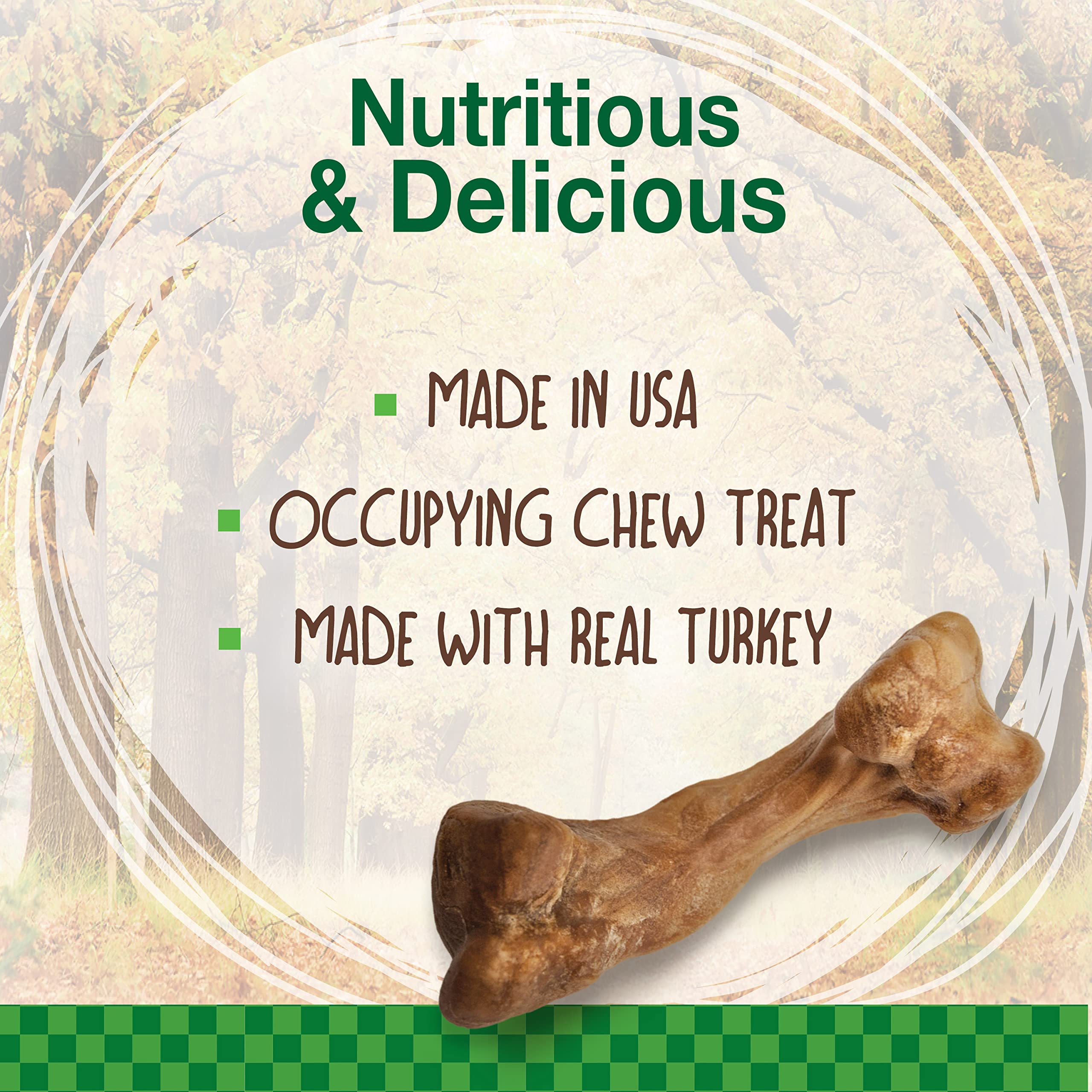 Nylabone Healthy Edibles WILD Natural Long-Lasting Turkey Flavor Bone Chew Treats for Dogs, Small/Regular (4 Count)