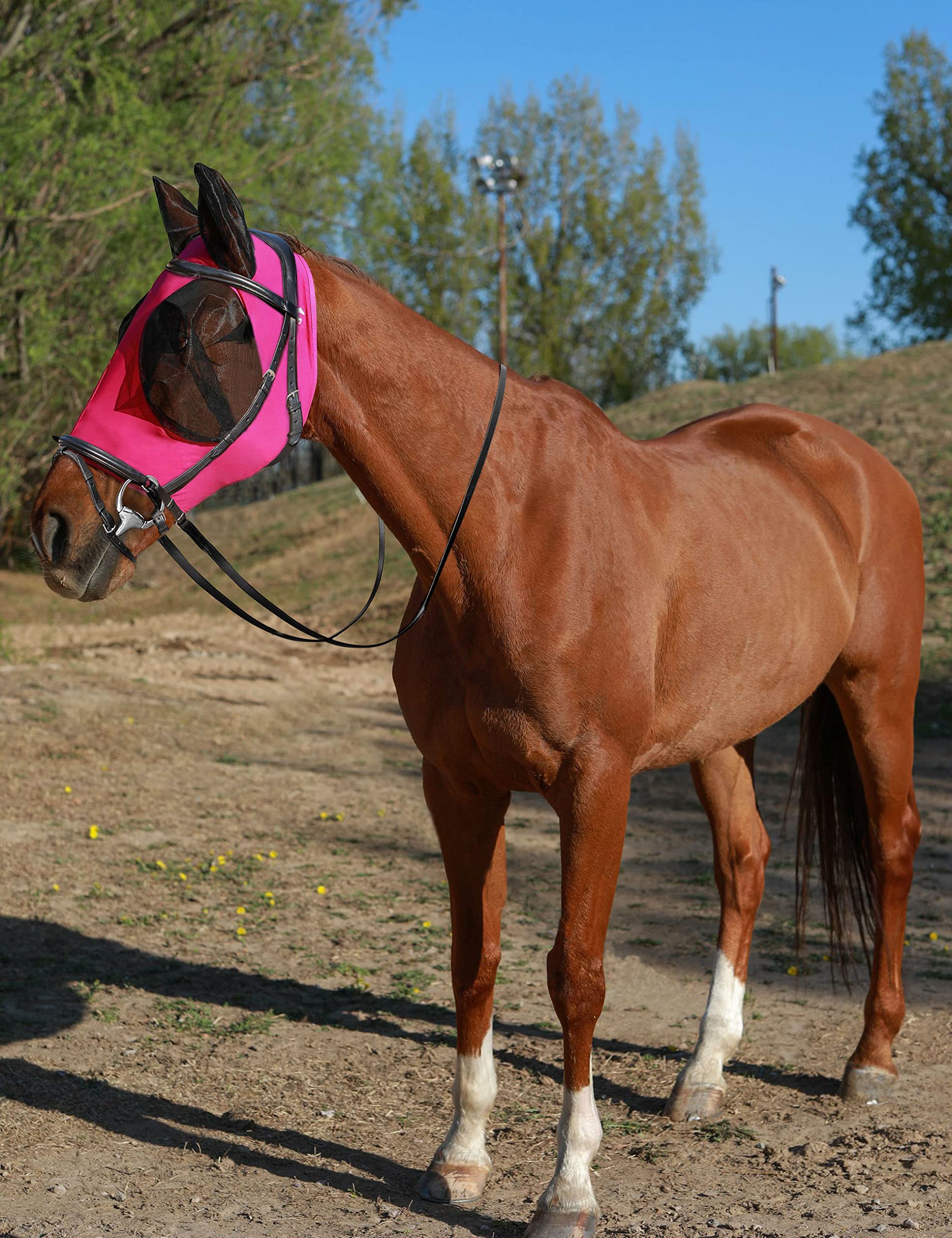 HackFond Horse Fly Mask with Ears, UV Protection Mask for Horses, Elasticity Mask with Big Mesh Eye Covers, Snug Fitting Comfort
