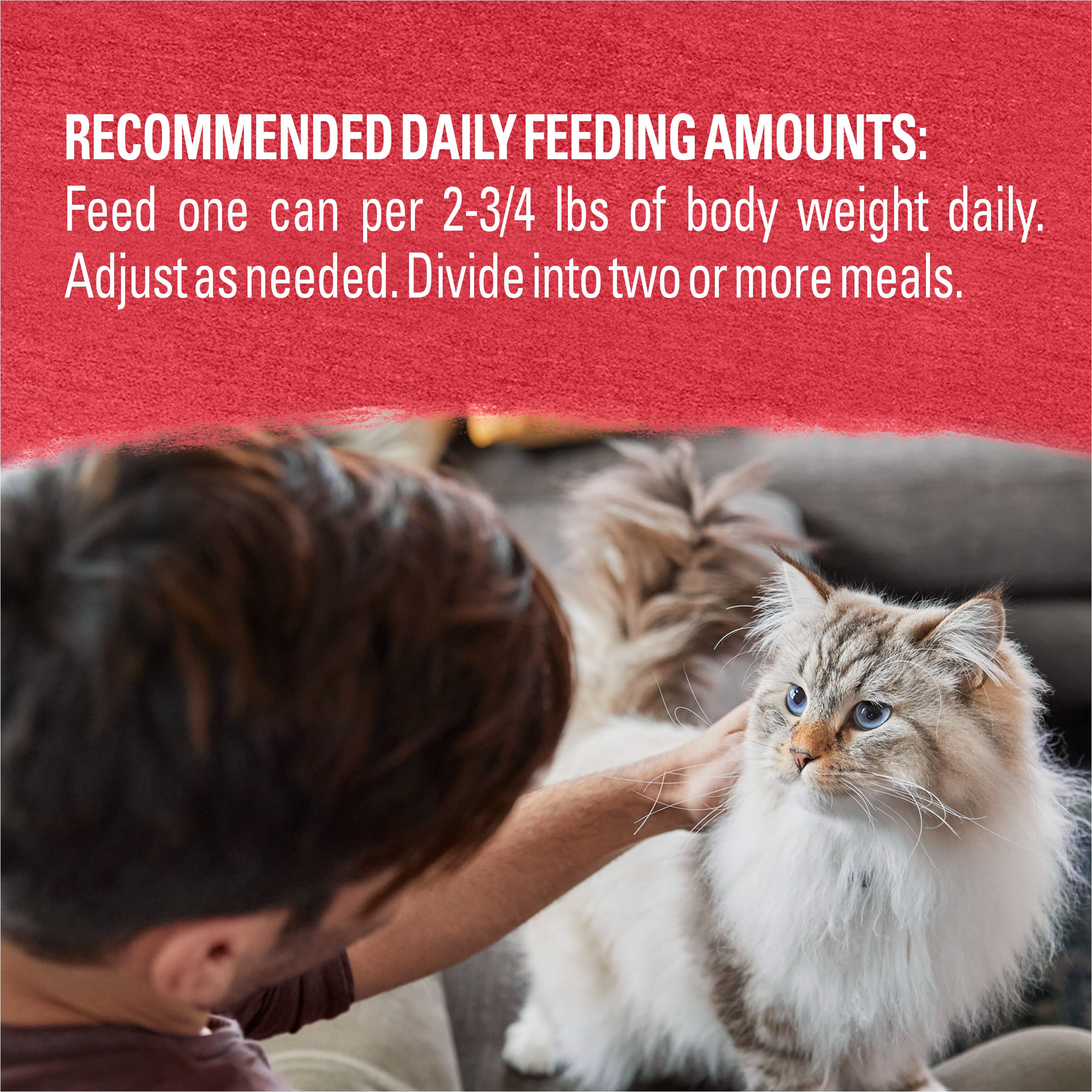 Purina Beyond Cage-Free Chicken, Beef and Carrot Recipe In Wet Cat Food Gravy - (Pack of 12) 3 oz. Cans