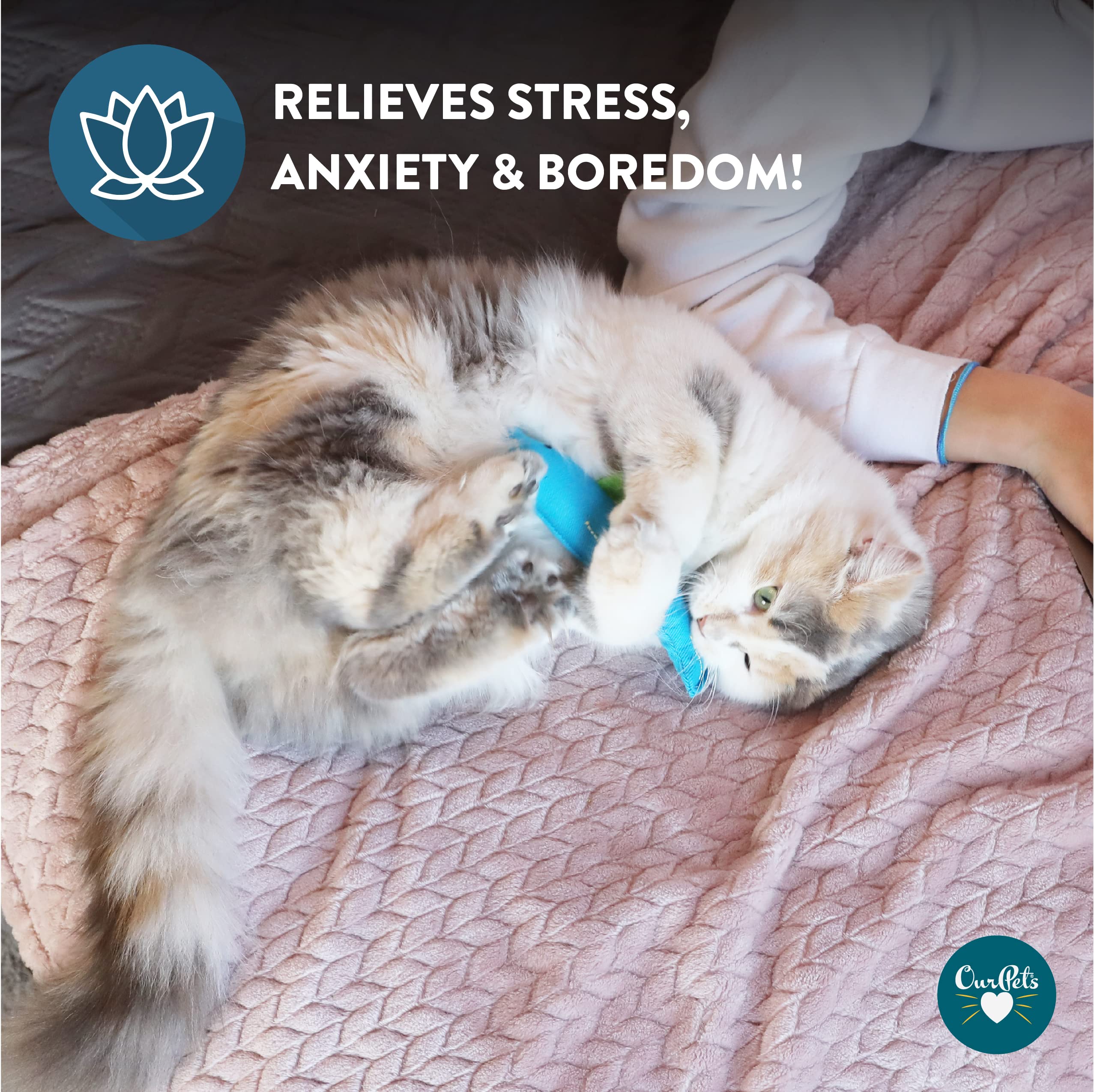 Our Pets 100-Percent North American Catnip Filled Fish Cat Toy (Interactive Cat Chew Toy), Annette (1050011546)