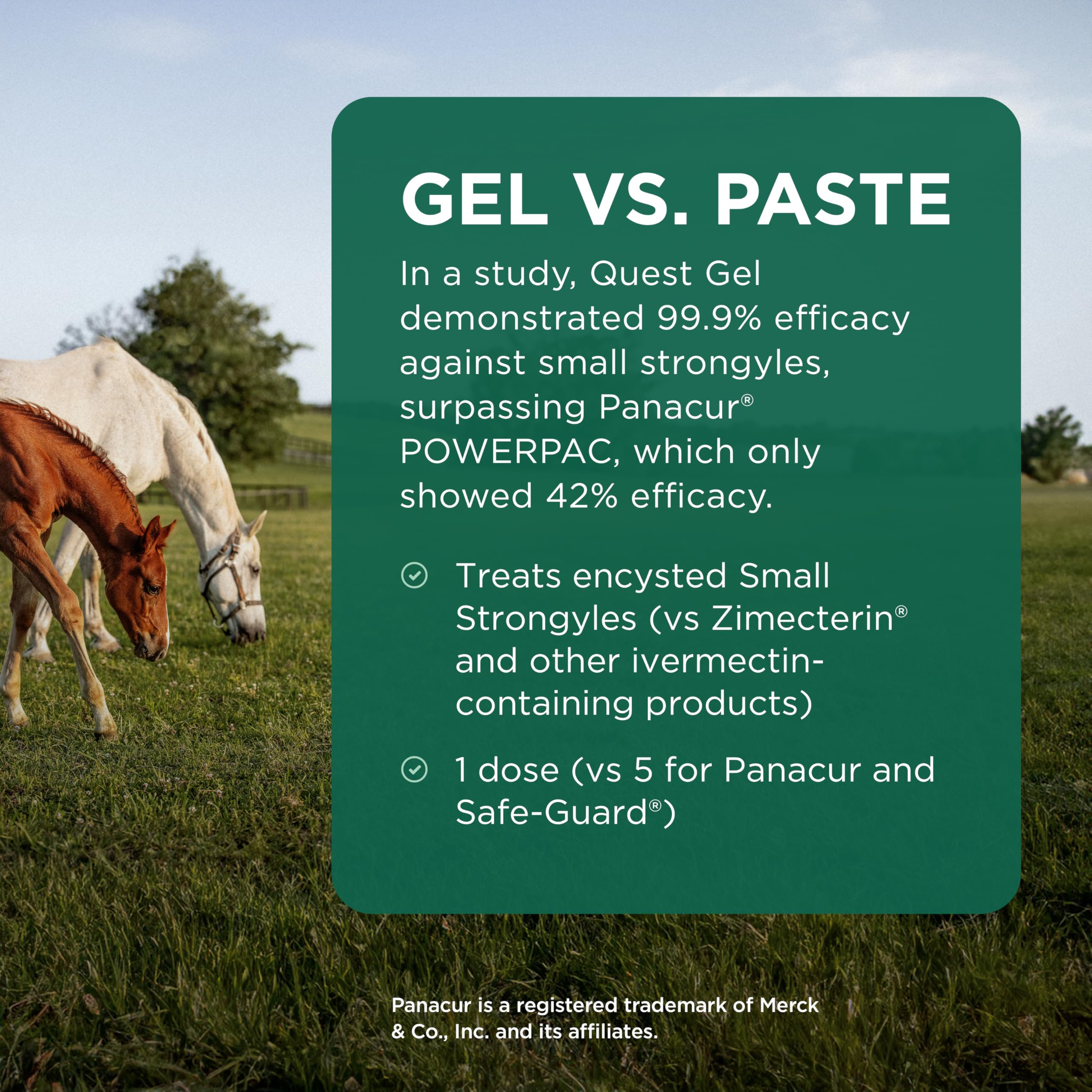 Quest Gel Moxidectin Horse Dewormer, Early Grazing Season recommended for Horses and Ponies 6 months and older, 0.5oz Sure-Dial