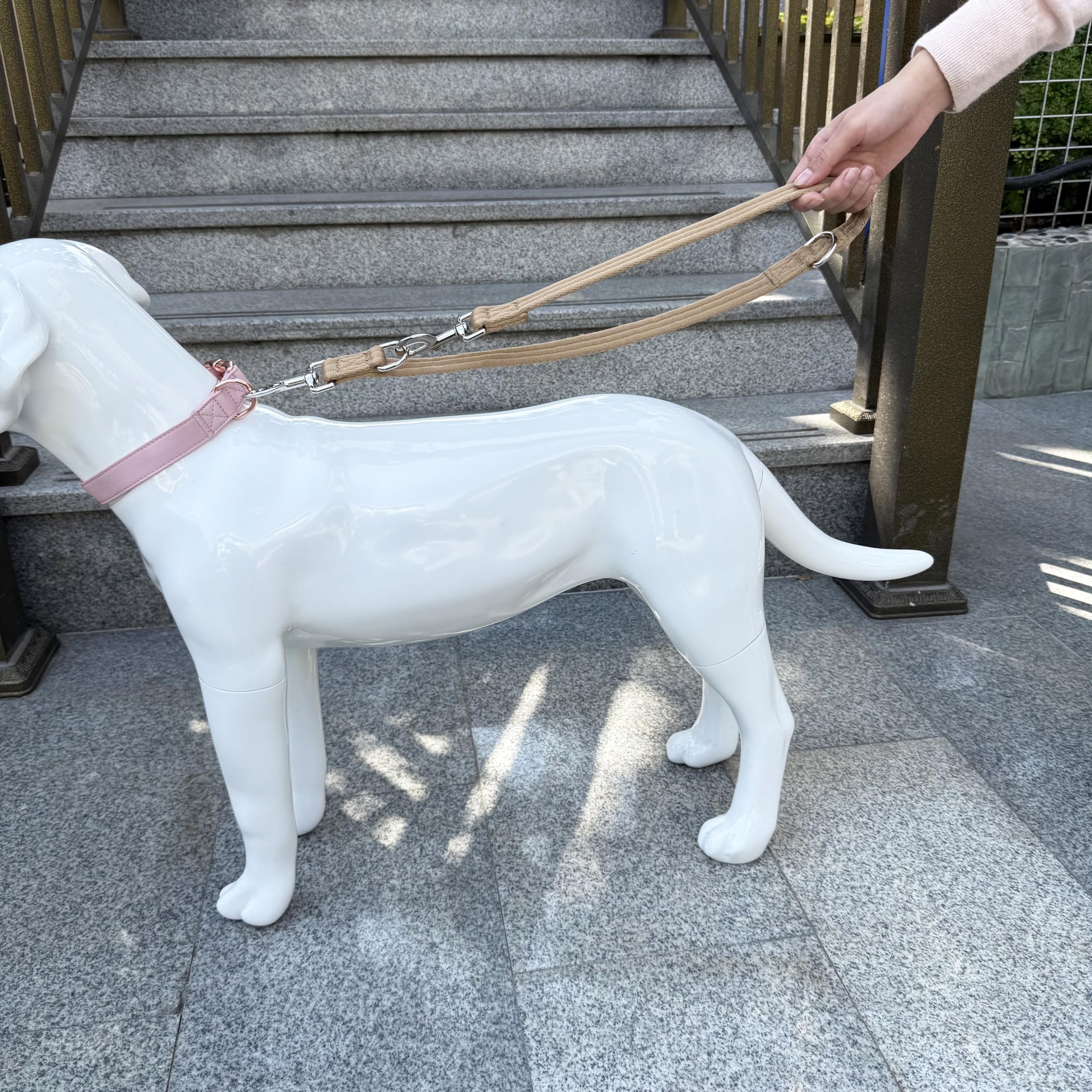 Double Ended Dog Leash,For Obedience Training Easy To Use,Lightweight,Soft For Large And Medium Dogs (Light Military Tan, 1M*2.5