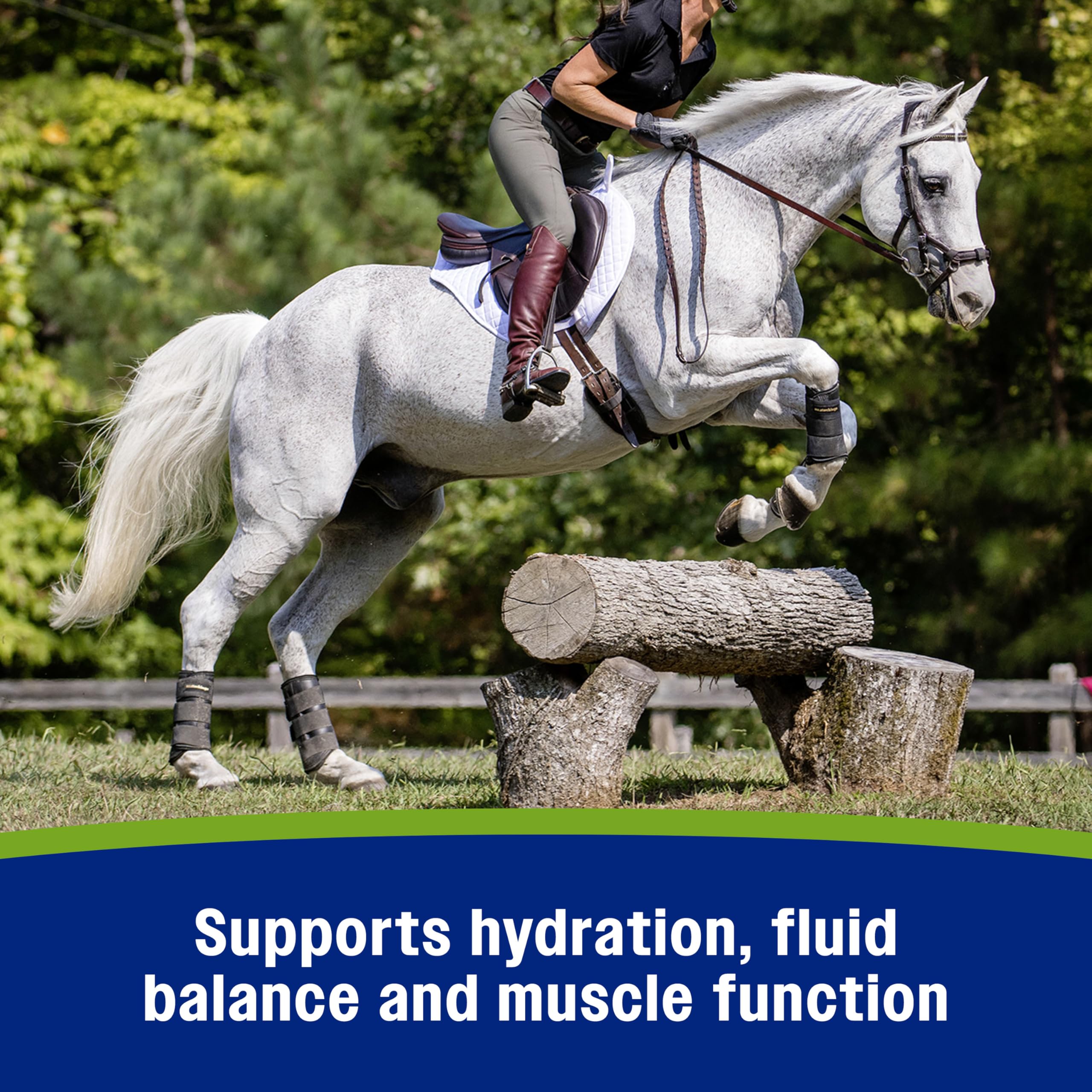 Farnam Apple Elite Electrolyte Pellets, Replaces Minerals Lost in Sweat During Exercise, Extreme Weather and Stressful Condition