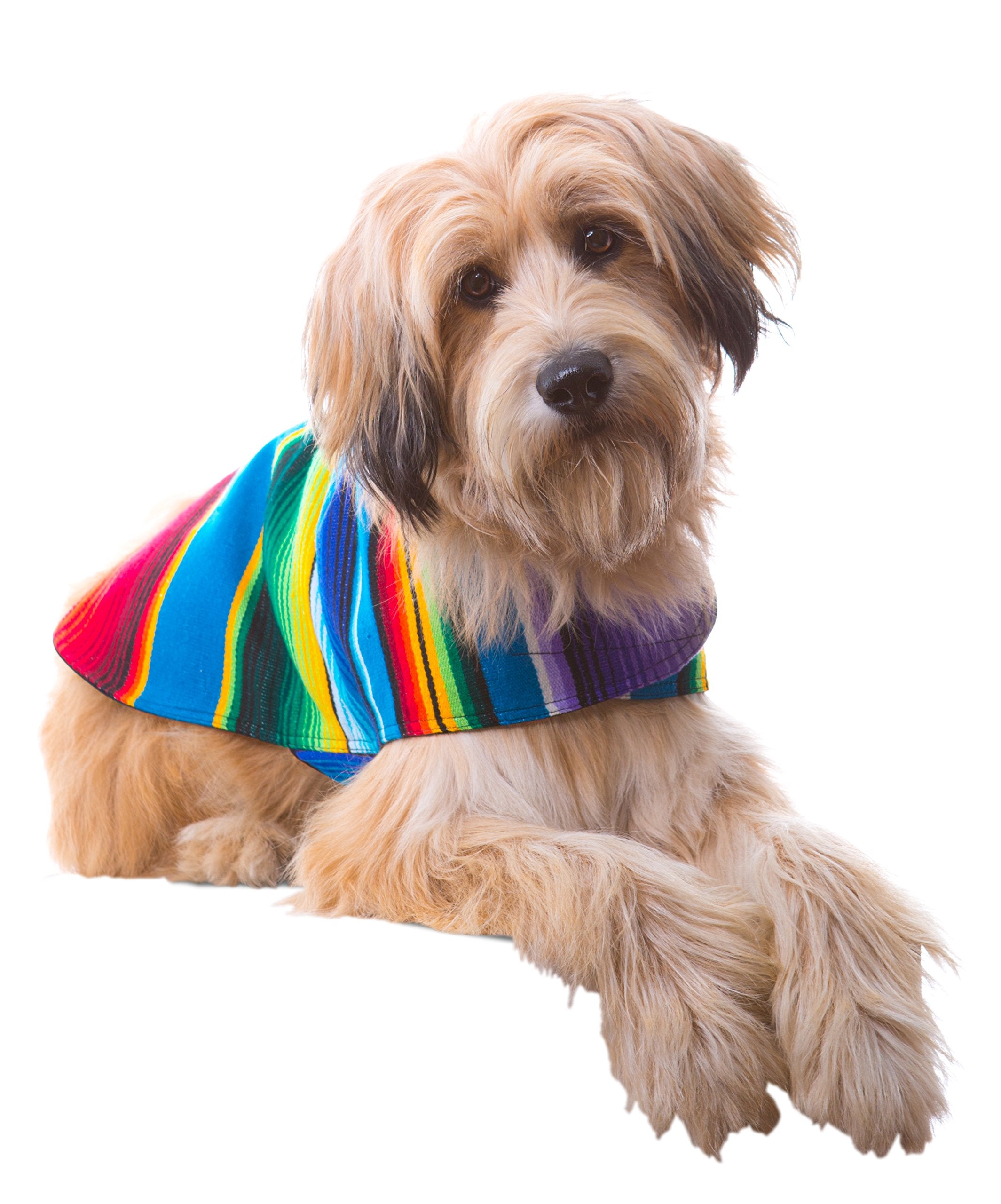 Shih Tzu Clothes - Handmade Dog Poncho from Authentic Mexican Blanket by Baja Ponchos (Blue, Medium)