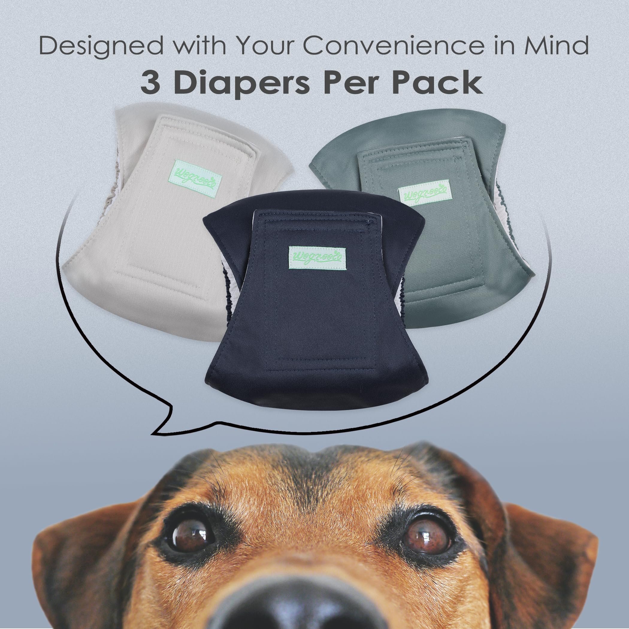 Wegreeco Washable Male Dog Belly Band (Stylish Pattern)- Pack Of 3 - Washable Male Dog Belly Wrap, Dog Diapers Male (Blue, Green, Champagne, Medium)