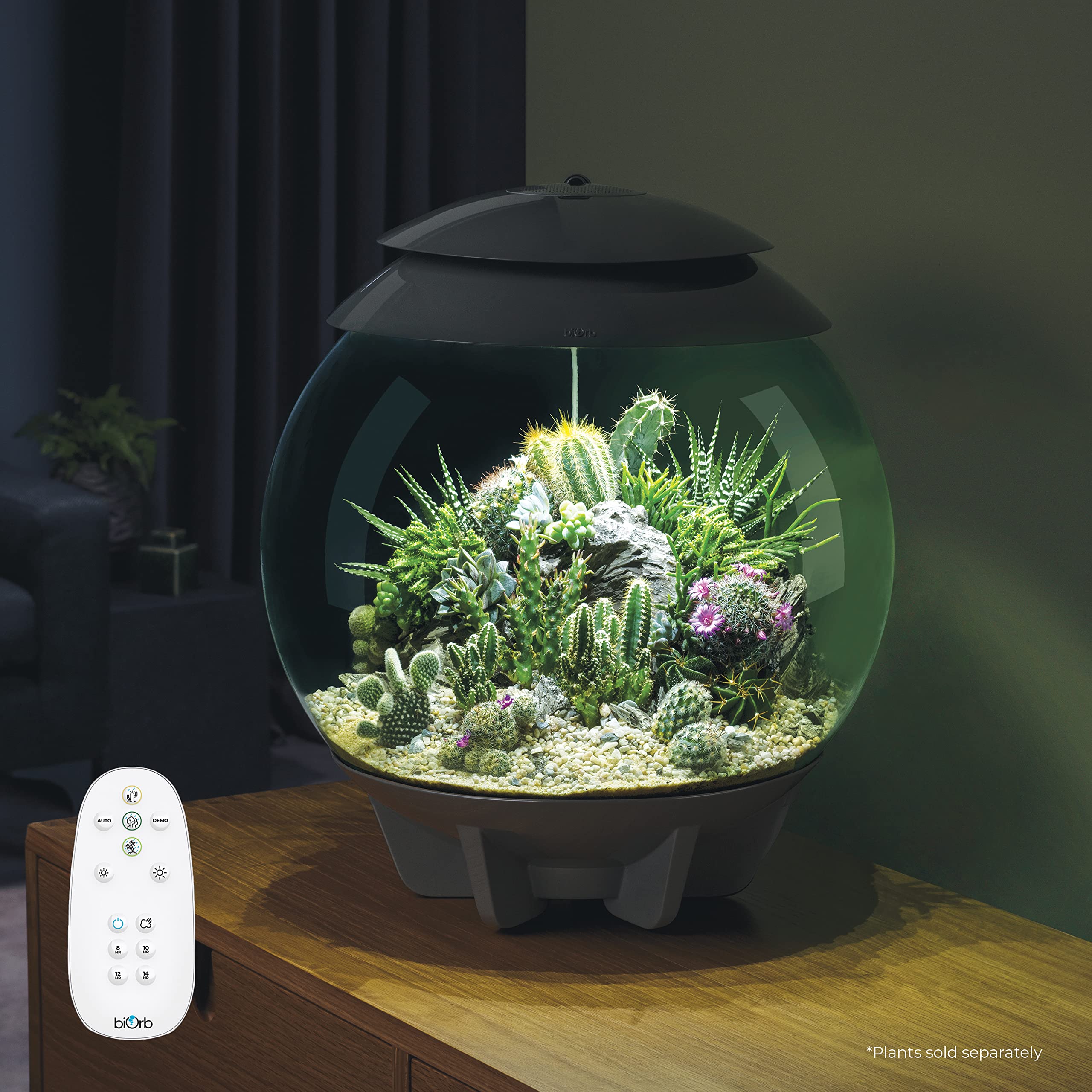 biOrb AIR 30 Terrarium - Fully Automated for Arid, Temperate & Tropical Plants, Gray