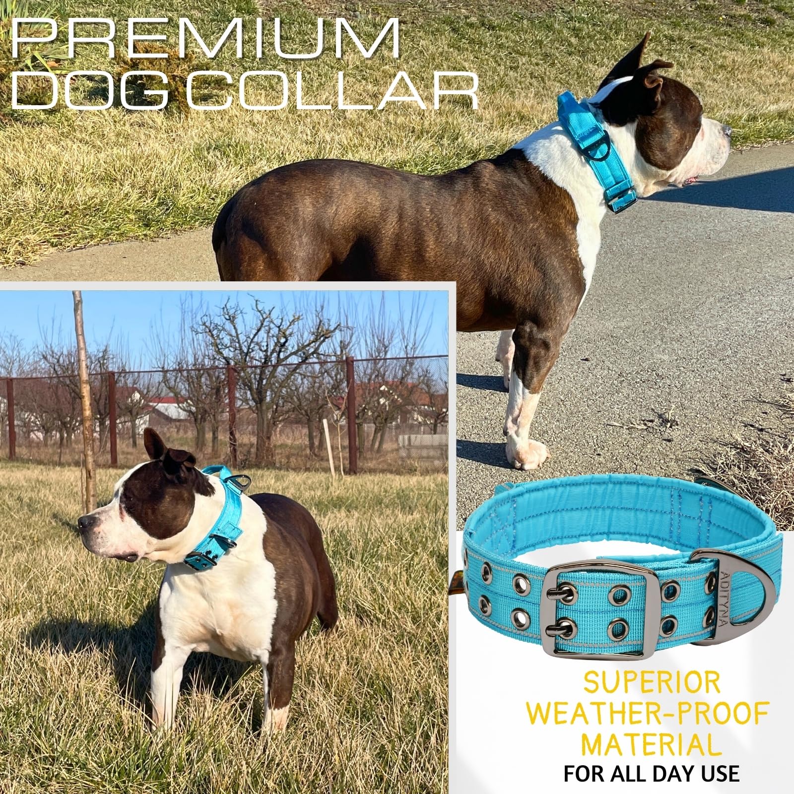 Adityna Heavy Duty Dog Collar For Extra-Large Dogs - Reflective Blue Collar With Handle For Training, And Walking - Wide, Thick,