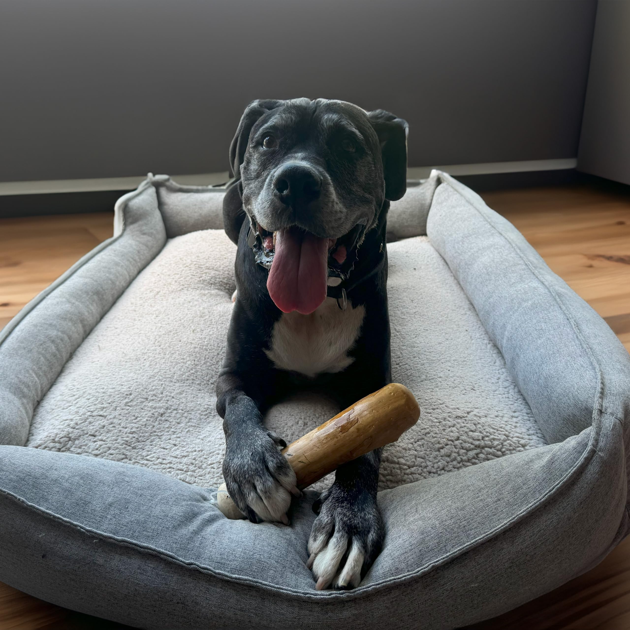 SPOT Coffee Wood Dog Chew Toy - Extra-Large, 100% Natural & Durable, Non-Splintering for Aggressive Chewers, Ideal for Dogs Over 99lbs