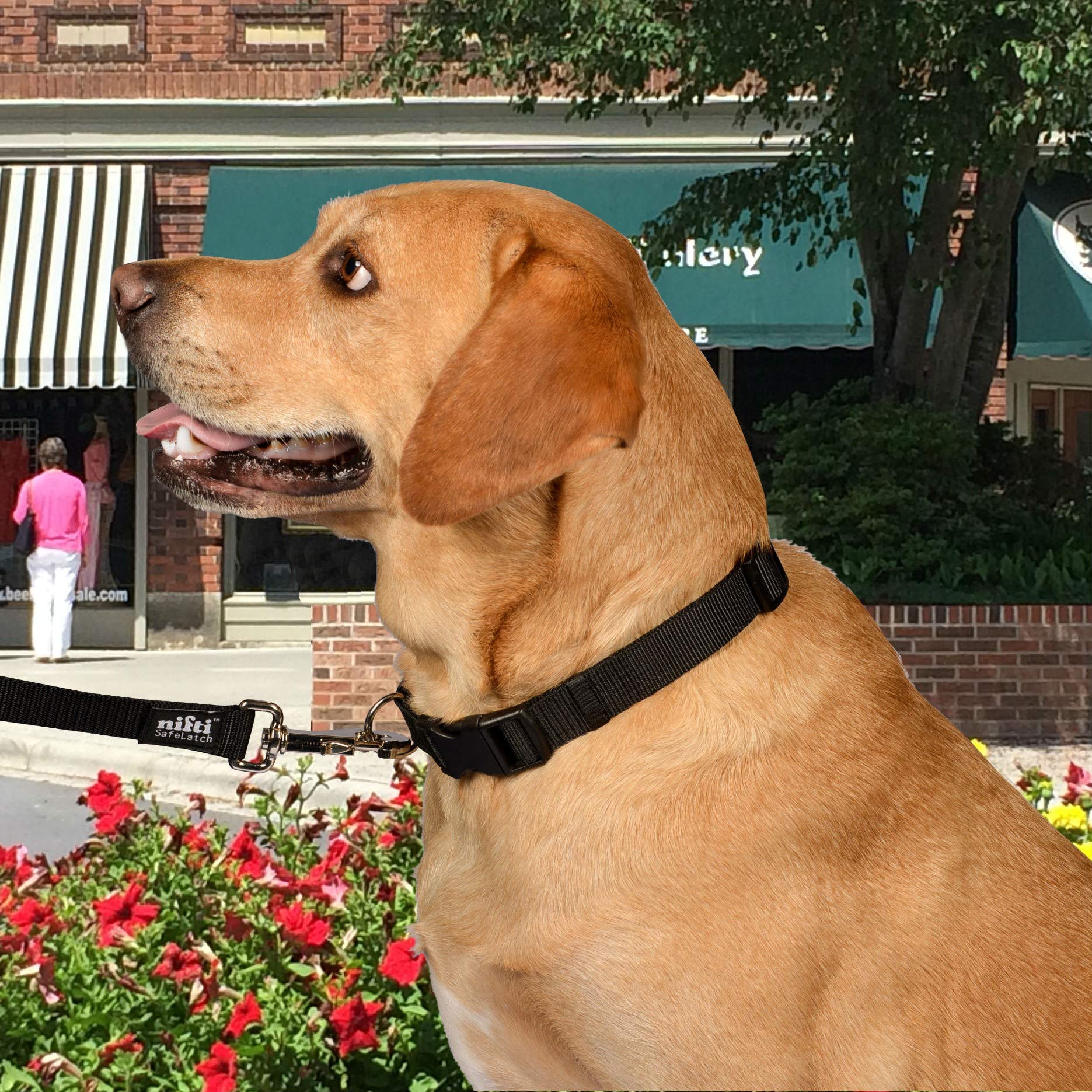 Nifti Safelatch Pet Safety Leash, Black, Med/Large Size