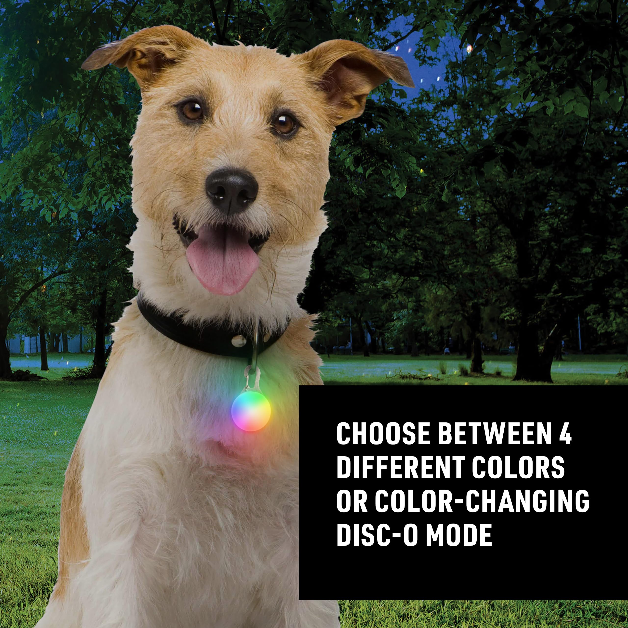 Nite Ize SpotLit - LED Dog Collar Light Clip for Safety - Dog Collar Light with Stainless Steel Carabiner Clip - USB Rechargeabl