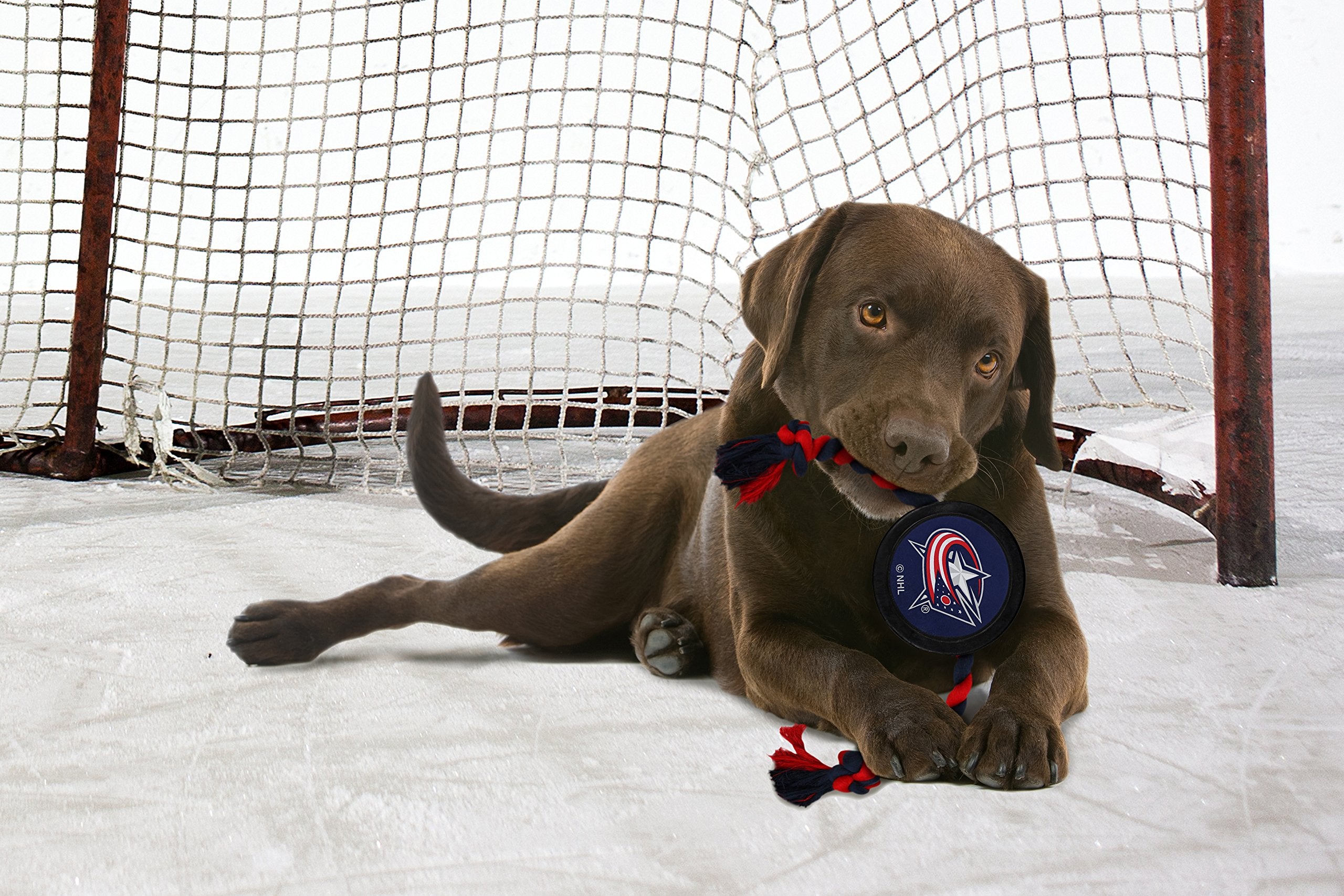 Pets First Nhl Columbus Blue Jackets Puck Toy For Dogs & Cats. Play Hockey With Your Pet With This Licensed Dog Tough Toy Reward