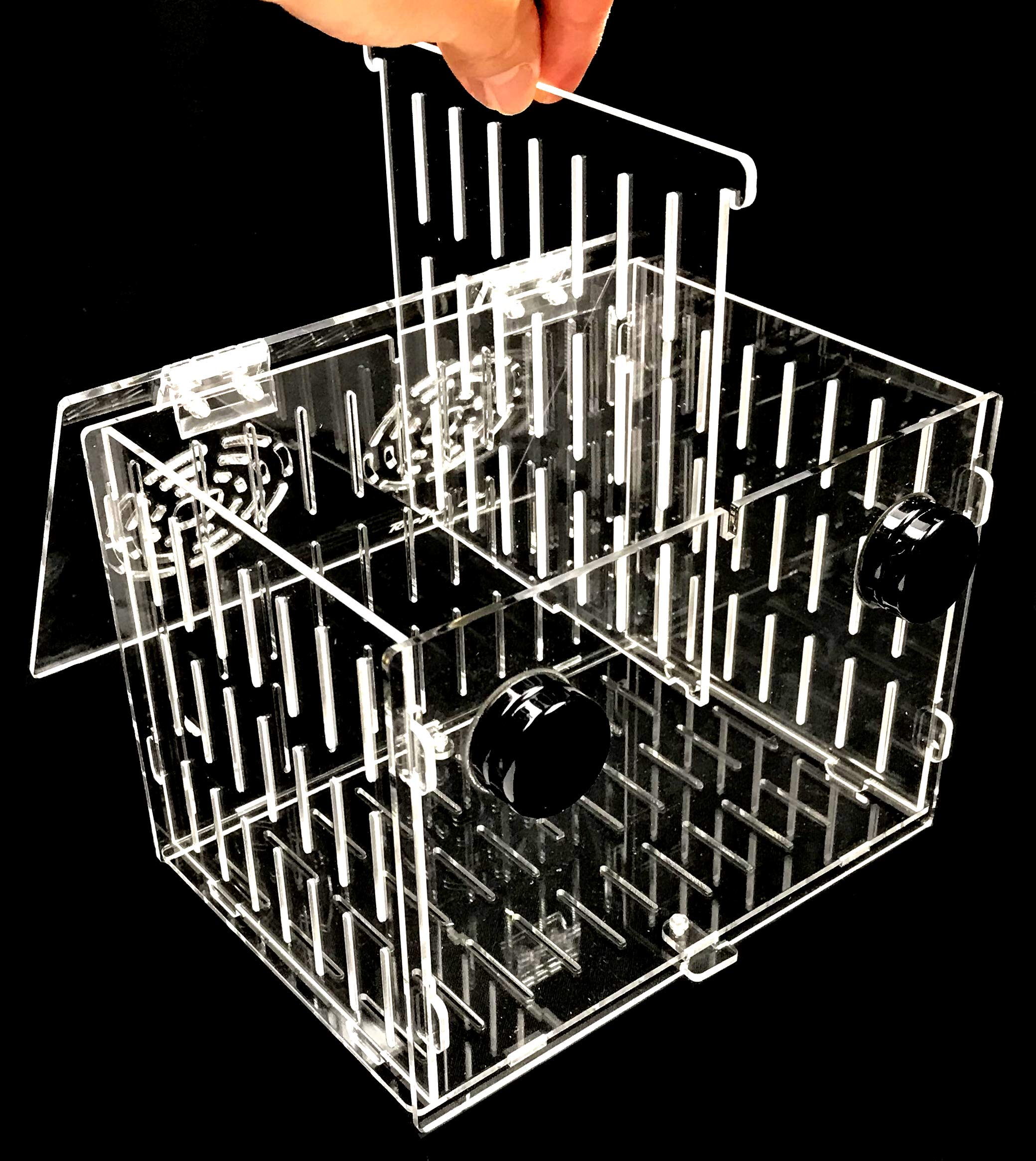 Reefing Art Magnetic Acclimation Breeder Box 4.5'' / 8'' /12'' For Fish Anemone Coral Strong N52 Magnets For 1/2'' Glass (8''X6'