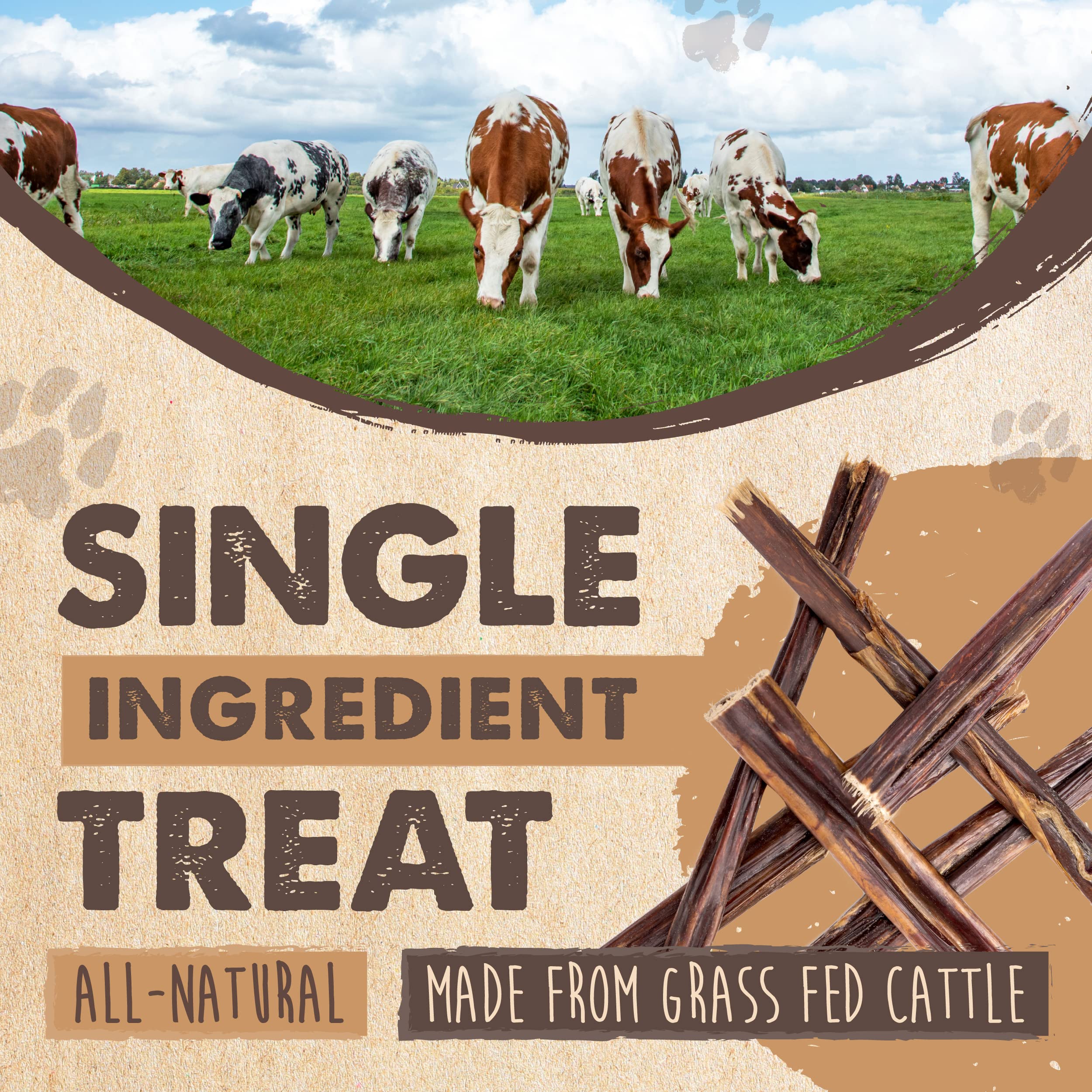 Mighty Paw - Beef Gullet Sticks for Dogs (6 Inch - 30 Pack) | Premium Beef Esophagus Dog Treats. Gullet Sticks, Ideal for Large