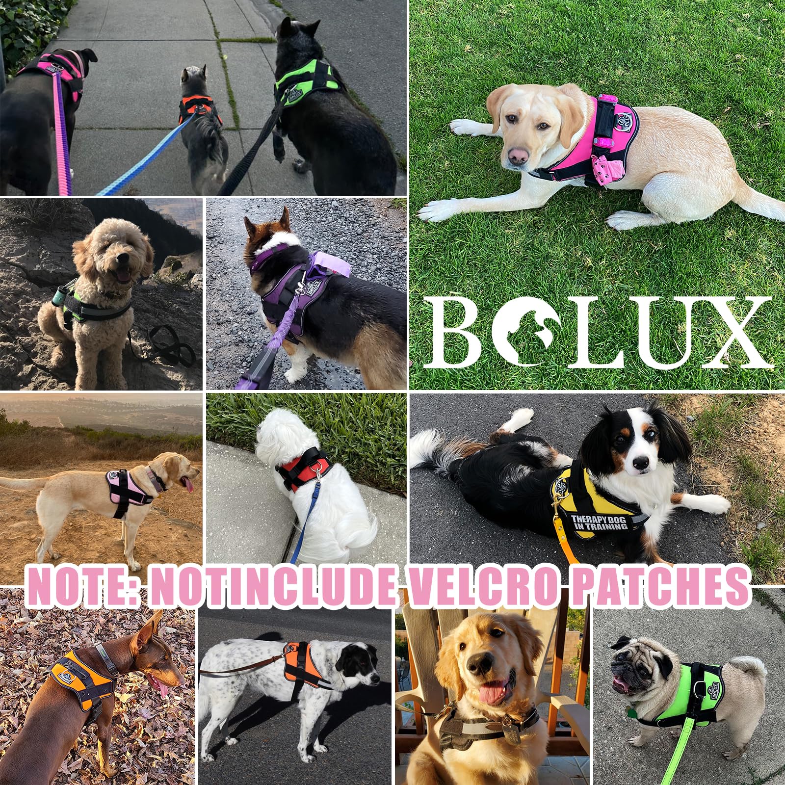 Bolux Dog Harness, No-Pull Reflective Dog Vest, Breathable Adjustable Pet Harness With Handle For Outdoor Walking - No More Pulling, Tugging Or Choking (X-Small (Pack Of 1), Oilpainting)