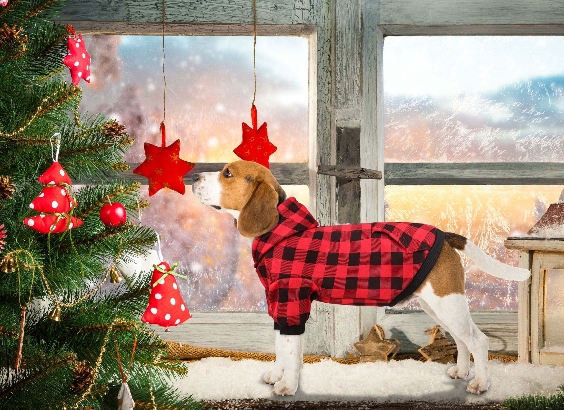 Puppypaws Red Buffalo Plaid Dog Sweater - Warm & Soft, Breathable, Cozy Small Dog Hoodie With Pocket