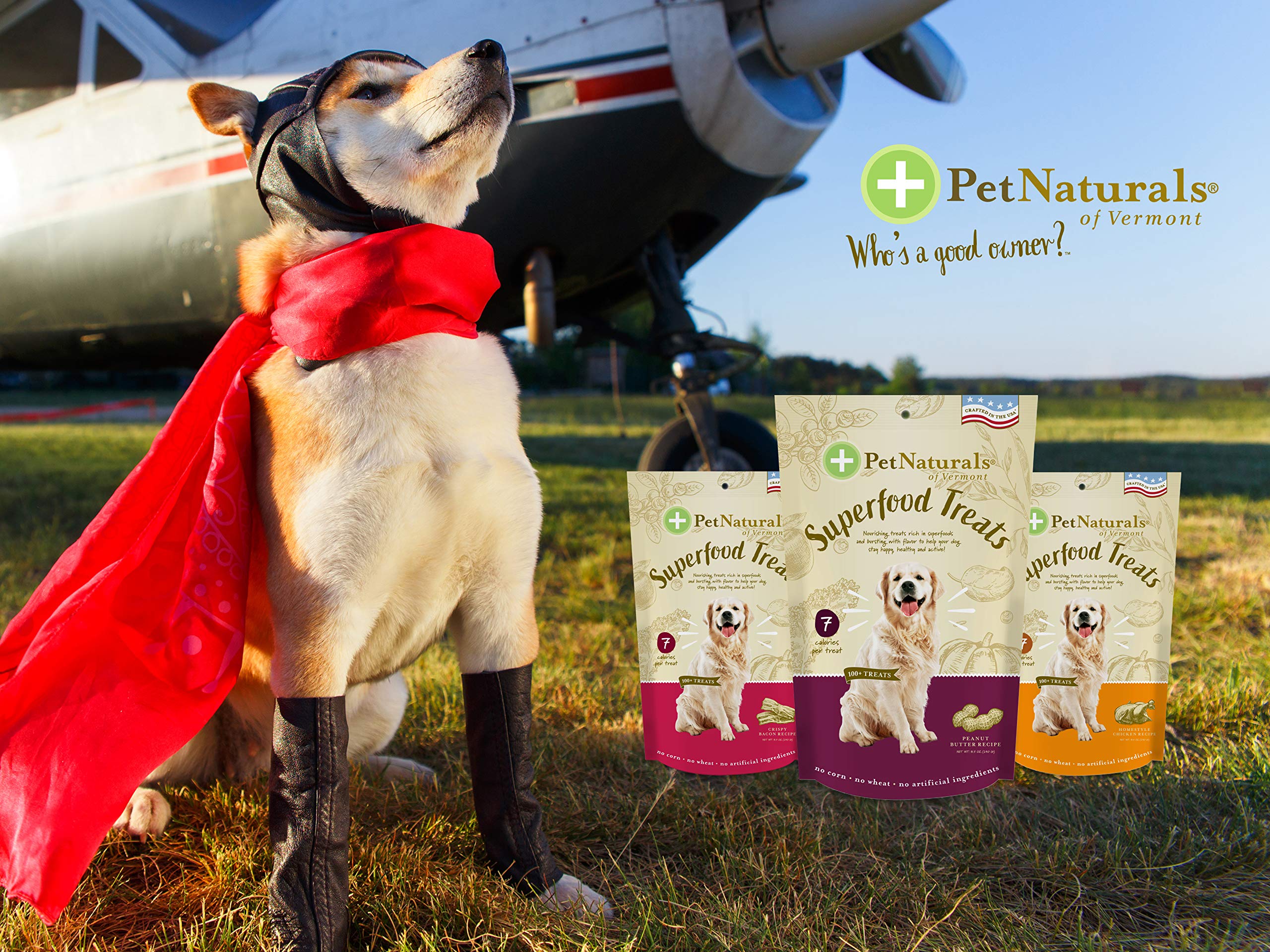 Pet Naturals Superfood Dog Treats with Blueberry and Kale - No Corn, Wheat or Artificial Ingredients - Bacon Flavor, 100 Chews (