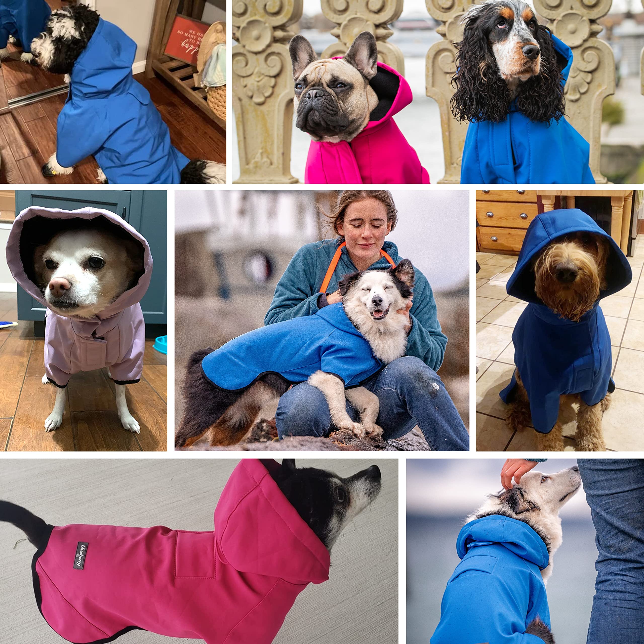 Blueberry Pet 24' Waterproof Dog Softshell Jacket, Hooded Raincoat And Windbreaker With Leash & Harness Hole, Dazzling Blue, Outdoor Rain Gear For Dogs