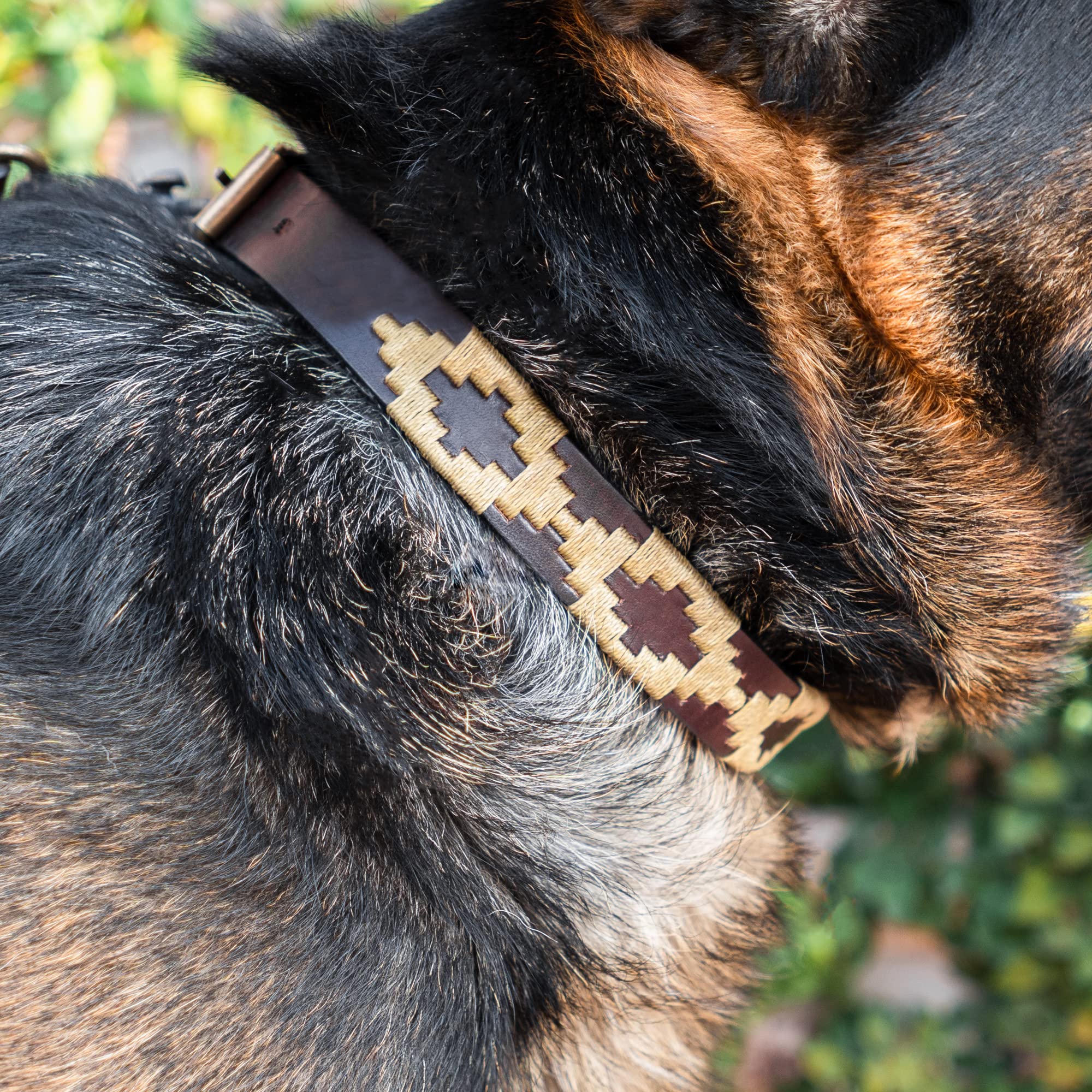 Gaucholife Polo Dog Collar Leather Hand-Stitched (Medium, Dorado)