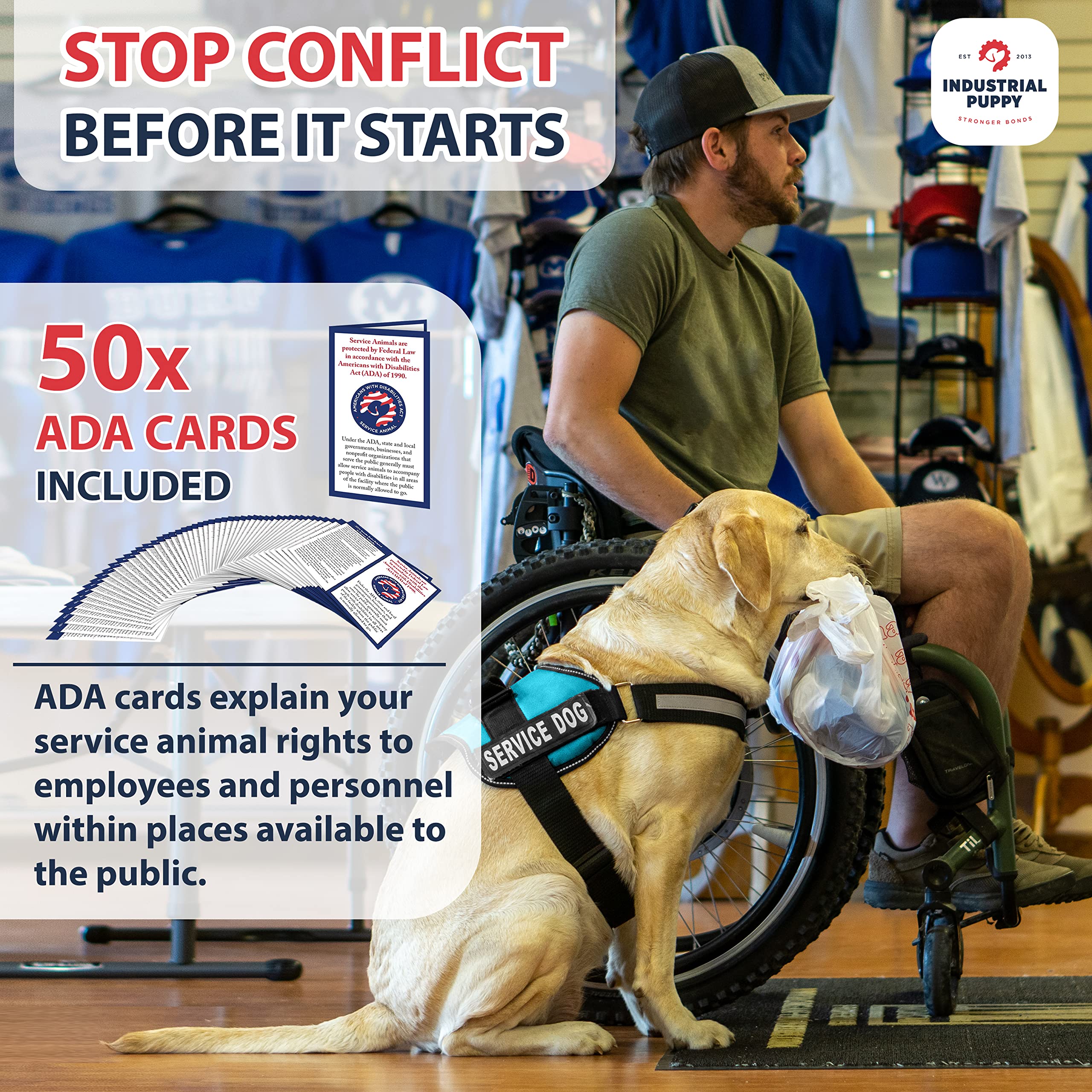 Service Dog Vest With Hook And Loop Straps And Handle - Harness Is Available In 8 Sizes From Xxxs To Xxl - Service Dog Harness Features Reflective Patch And Comfortable Mesh Design (Blue, Xs)