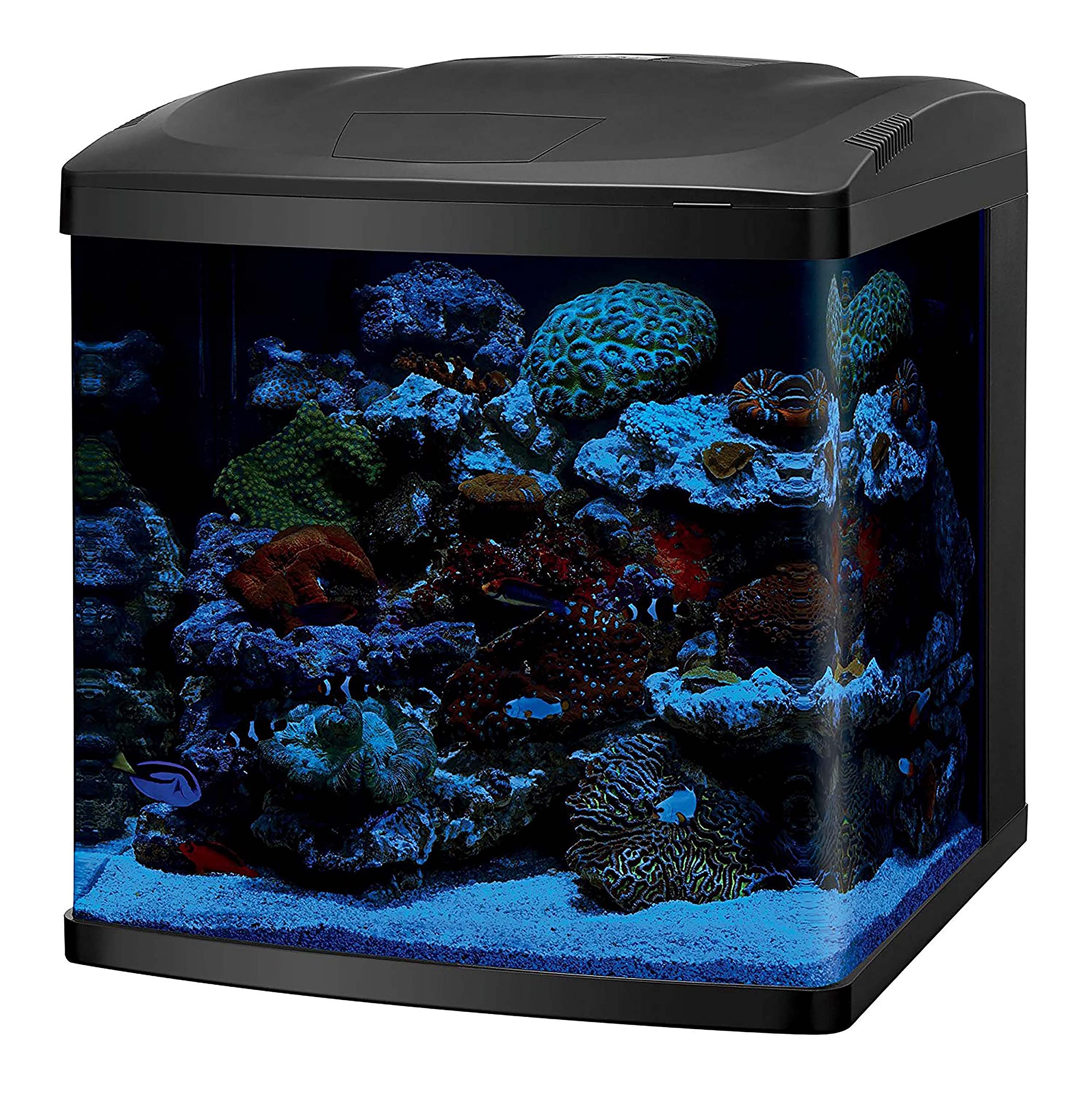 Coralife Led Biocube Aquarium Fish Tank Kit, 32 Gallon