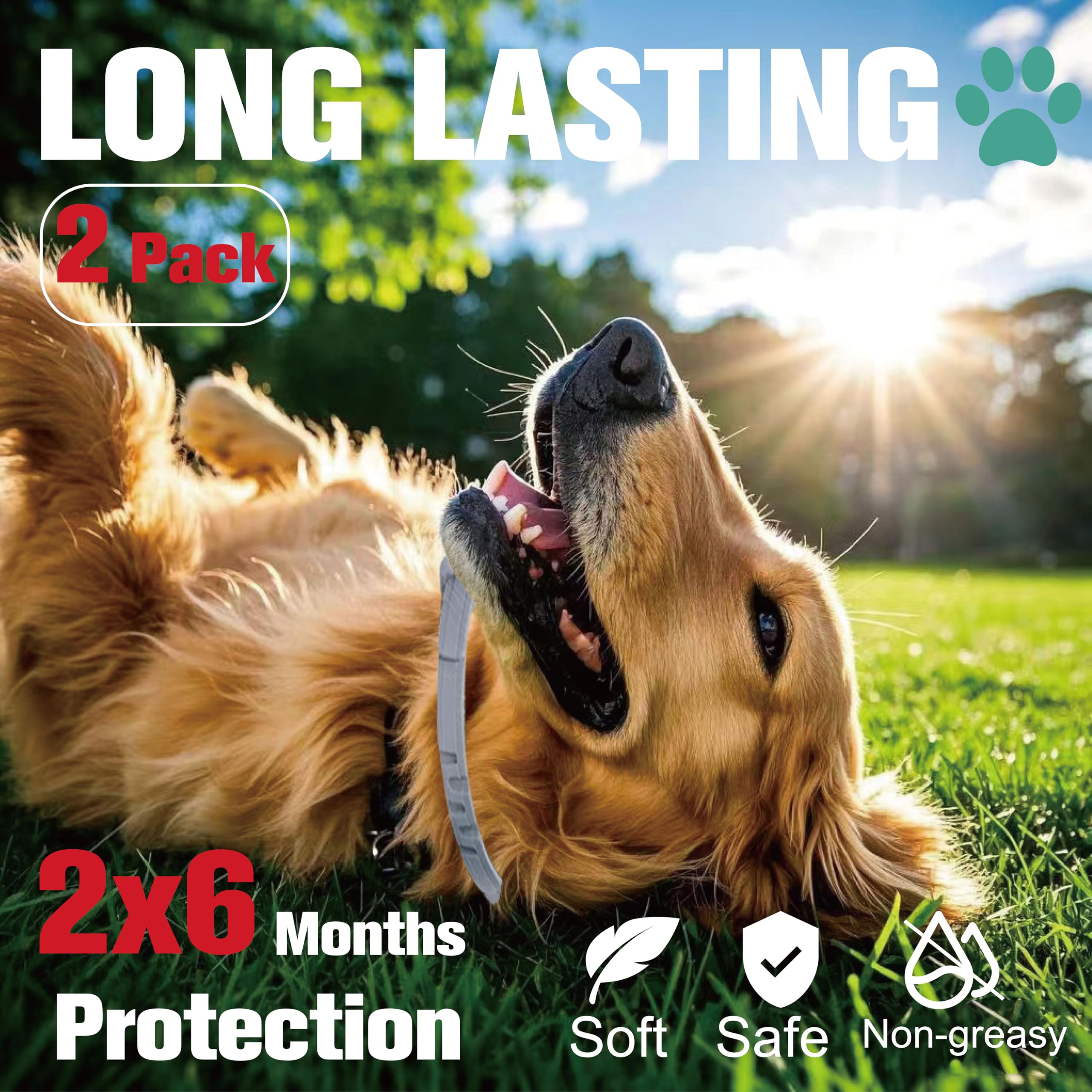 Advanllent Flea Collar For Dogs, Flea And Tick Prevention For Dogs Collar, Dog Flea And Tick Treatment, 2 Collars, 12 Months Pre