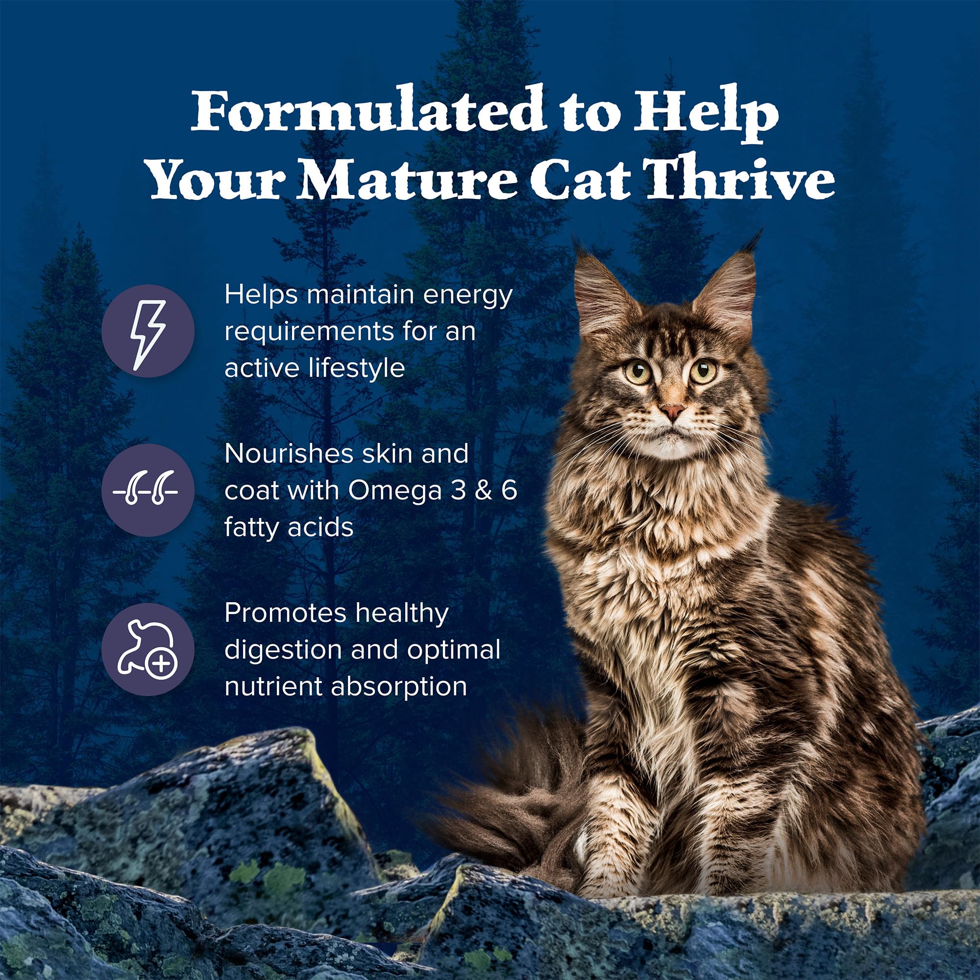 Blue Buffalo Wilderness Natural Mature Dry Cat Food for Cats 7+ Years, High-Protein and Grain-Free Diet, Supports Immune System