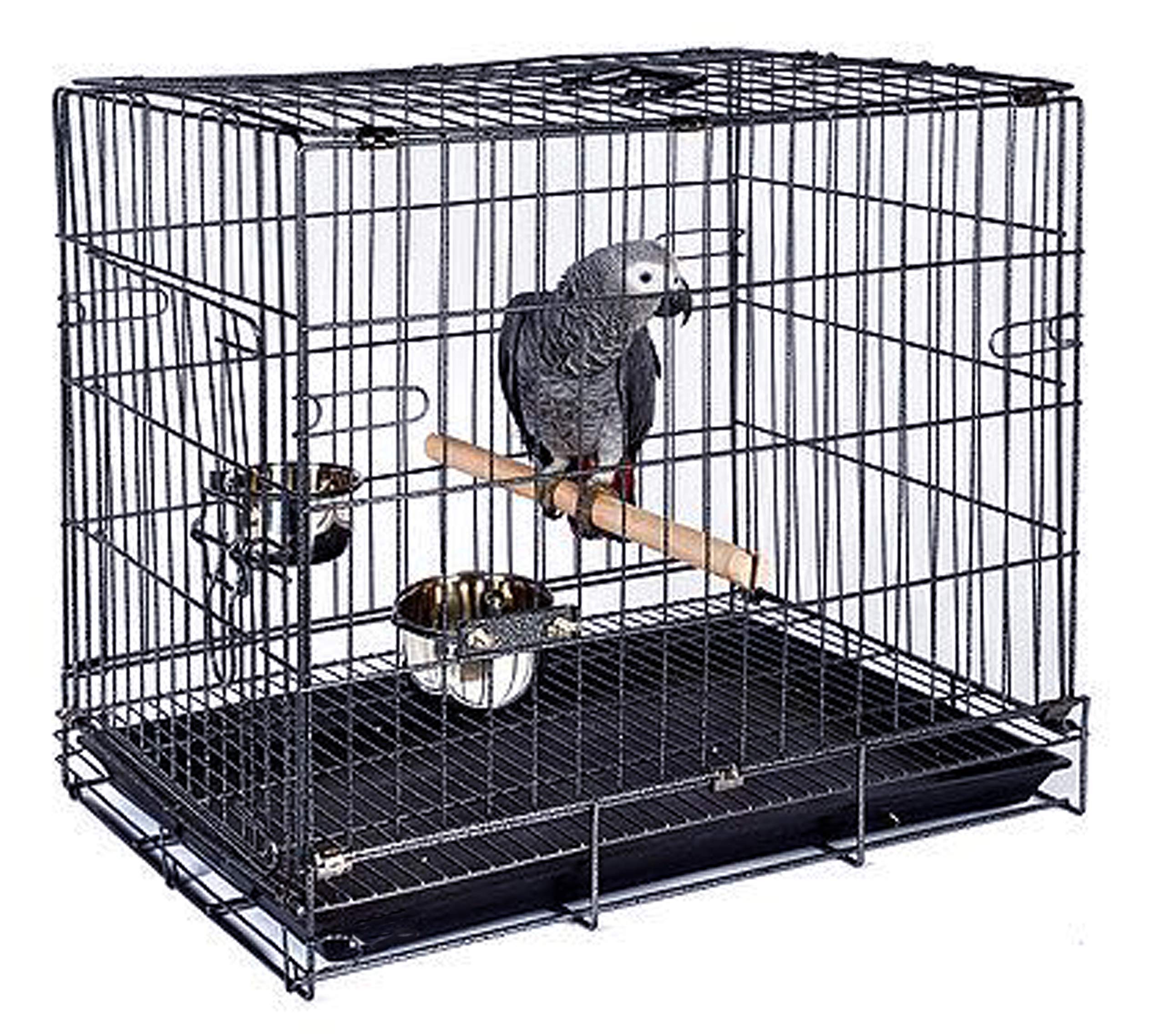 Durable Easy Portable Collapsible Metal Travel Or Veterinary Collapsable Parrot Bird Carrier Beaks-Proof Easy Clean Carrier Cage