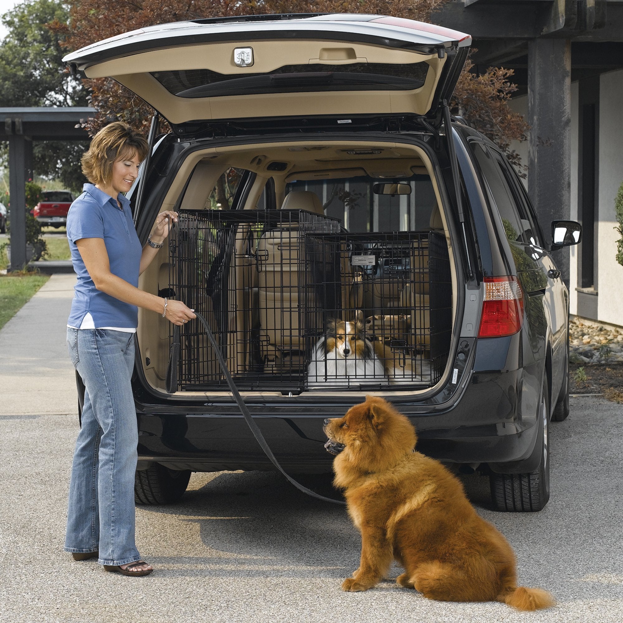 Midwest Homes For Pets Side-By-Side Double Door Suv Crate With Plastic Pan, 42-Inch By 21-Inch By 30-Inch