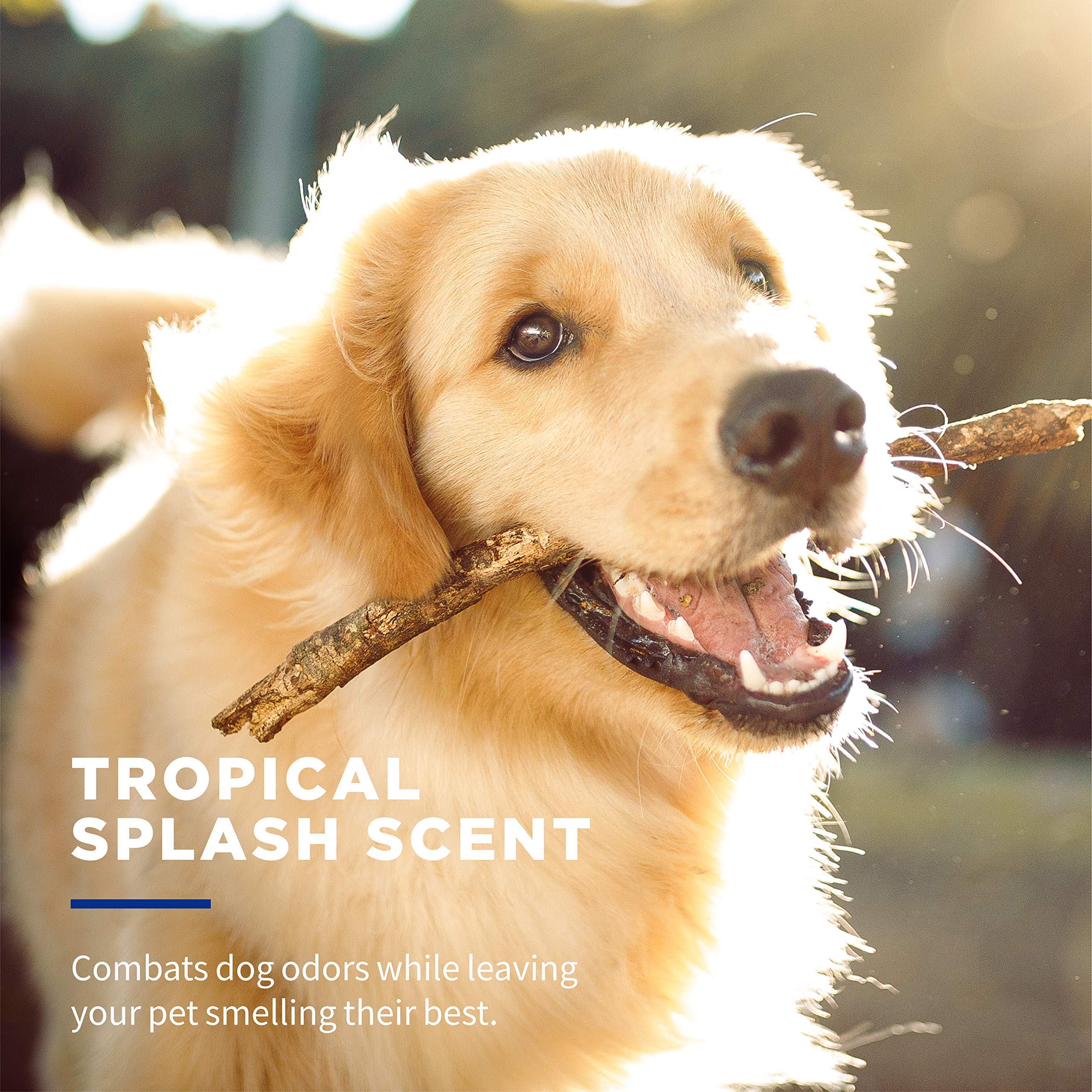 Wet Ones For Pets Deodorizing Multi-Purpose Dog Wipes With Baking Soda | Dog Deodorizing Wipes For All Dogs In Tropical Splash Scent, Wet Ones Wipes For Deodorizing Dogs | 50 Ct Cannister Dog Wipes