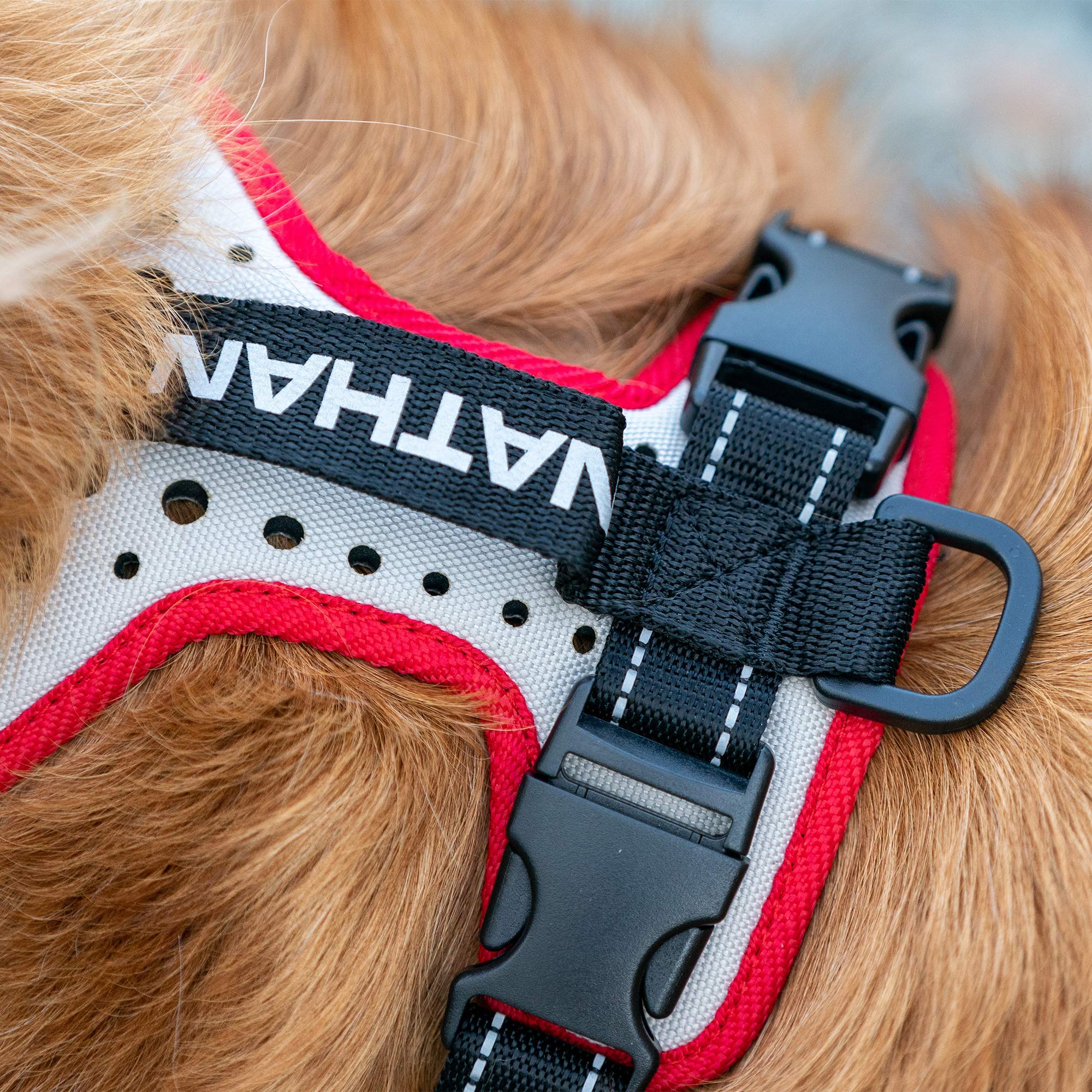 Nathan Dog Harness. Teaching Attachment/No Pull/Reflective/Lift Handle. For Running Or Walking Your Dog. K9 Series Leash.