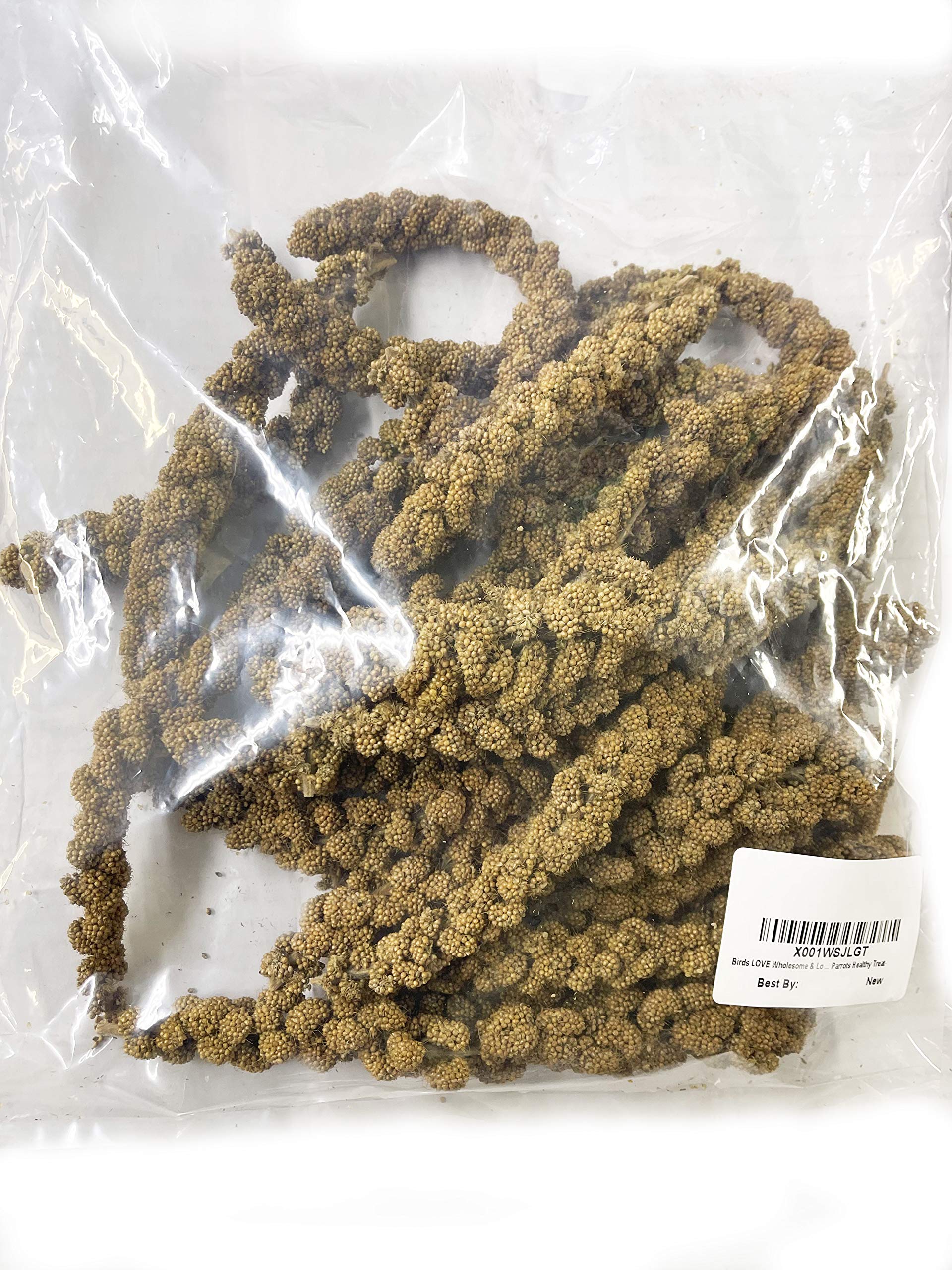 Birds LOVE Spray Millet - 1 lb GMO-Free, No Stems (Edible Tops Only) - Healthy Treat for Cockatiels, Lovebirds, Parakeets, Finch