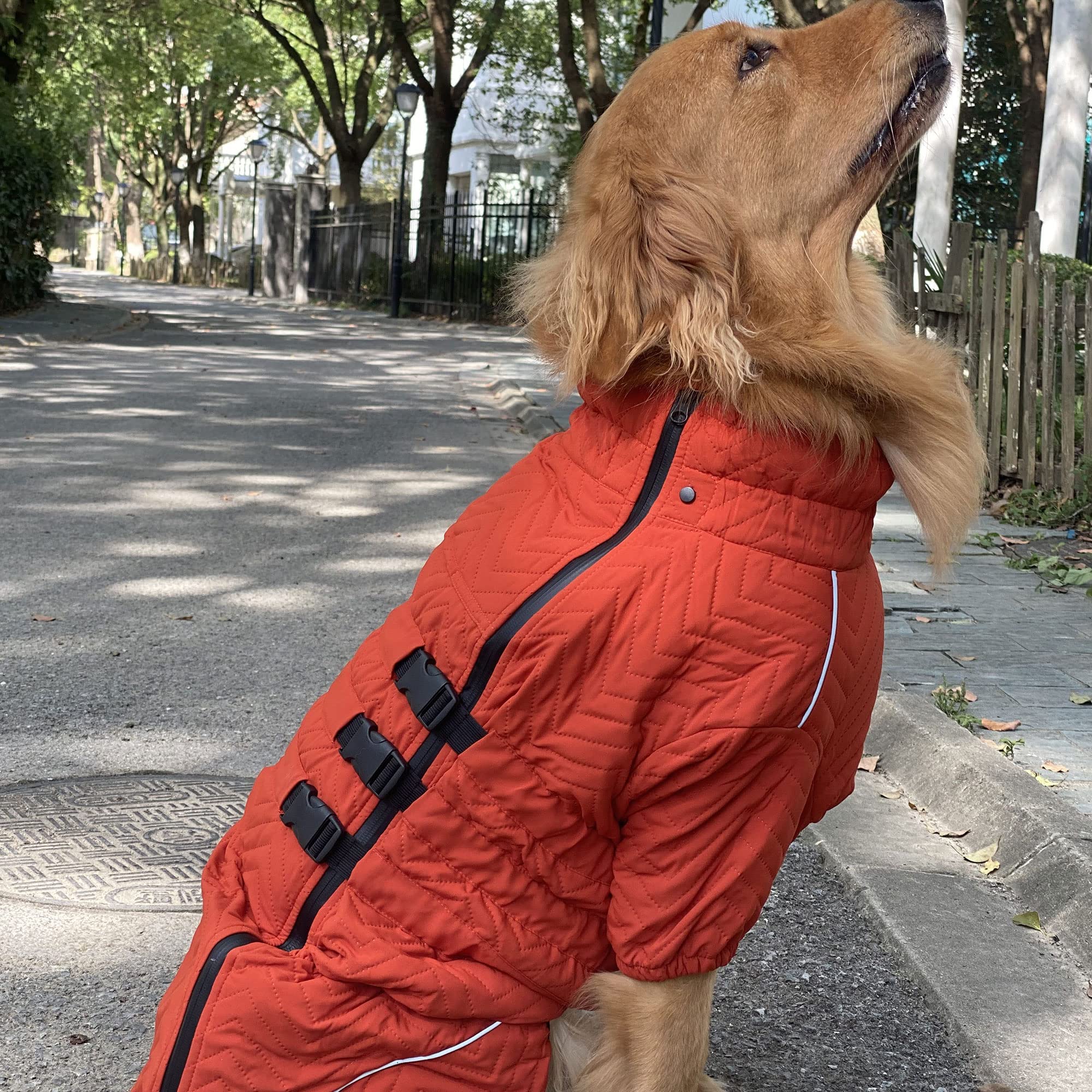 Warm Dog Coat Double Layers Dog Vest, 10 Legs Covered Windproof Waterproof Reflective Warm Dog Vest Outdoor Skating Dog Costume For Small Medium Large Dogs Orange Xxl