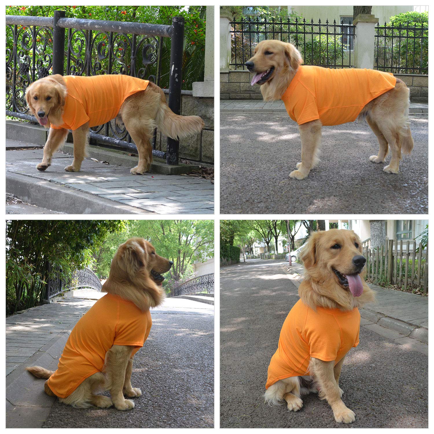 Lovelonglong Pet Clothing Dog Costumes Basic Blank T-Shirt Tee Shirts For Medium Large Dogs Orange Xxl+