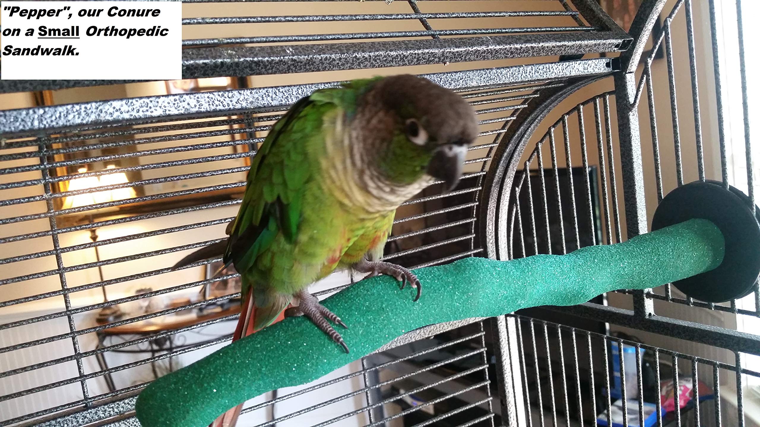 Polly'S Sand Walk Orthopedic Bird Perch, Medium