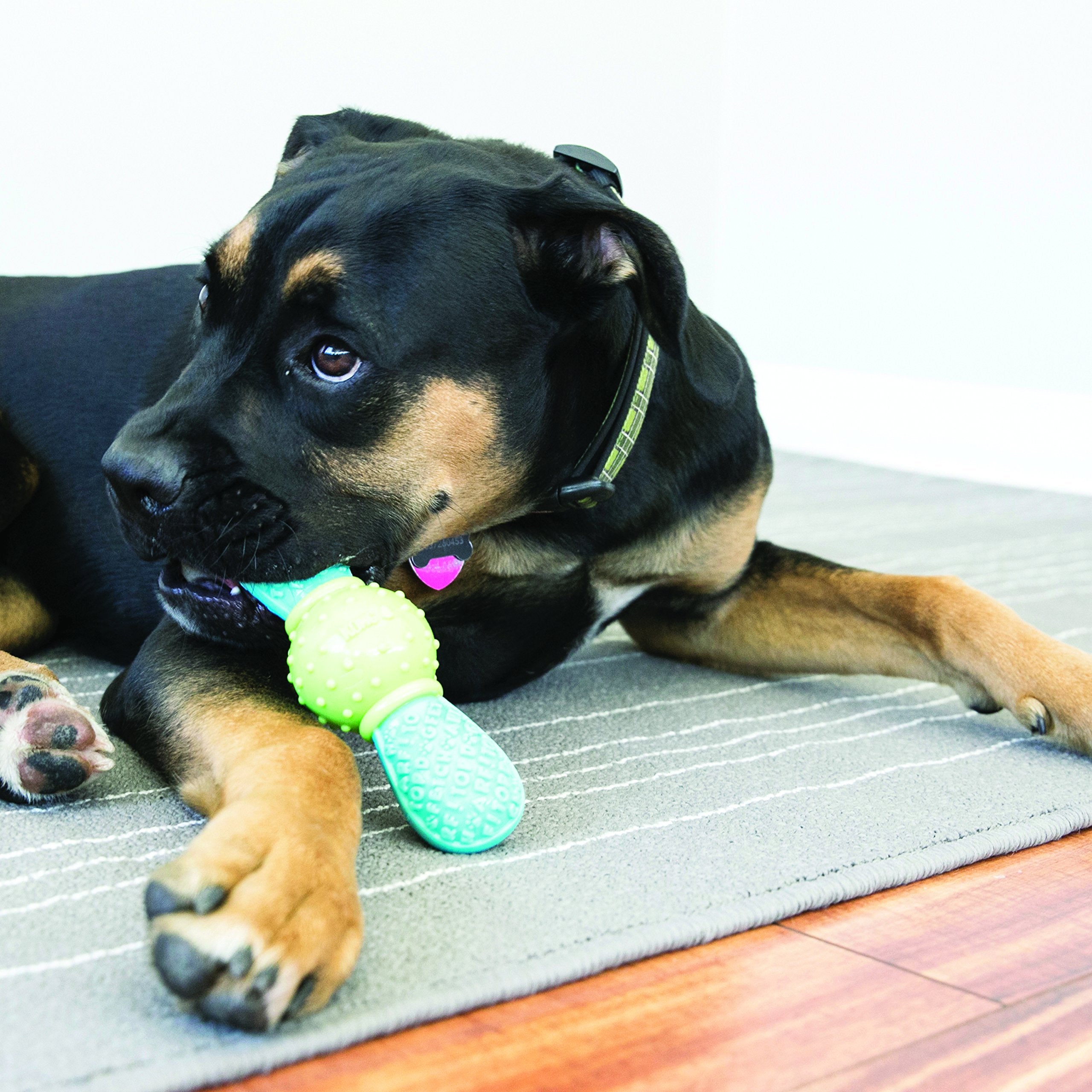 Kong Corestrength Bow Tie Bone - Dog Dental Chew Toy - Durable, Multi-Layered Dog Toy For Enrichment Play & Dental Care - With Textured Body For Teeth Cleaning - For Small/Medium Dogs