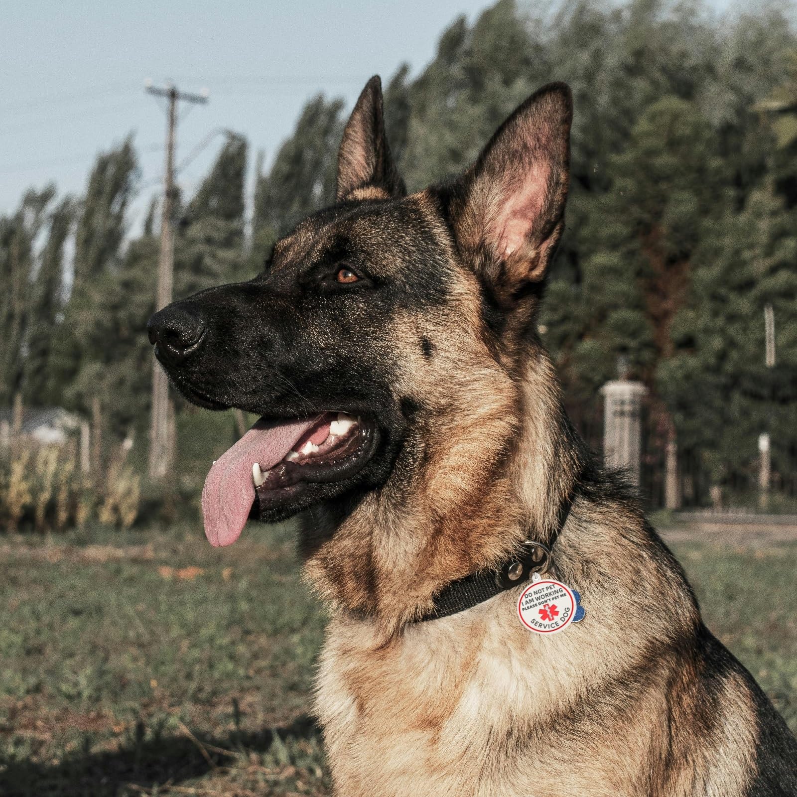 Do Not Pet Tag Easily Attach To Dog Collar, Harness, Vest (Small)