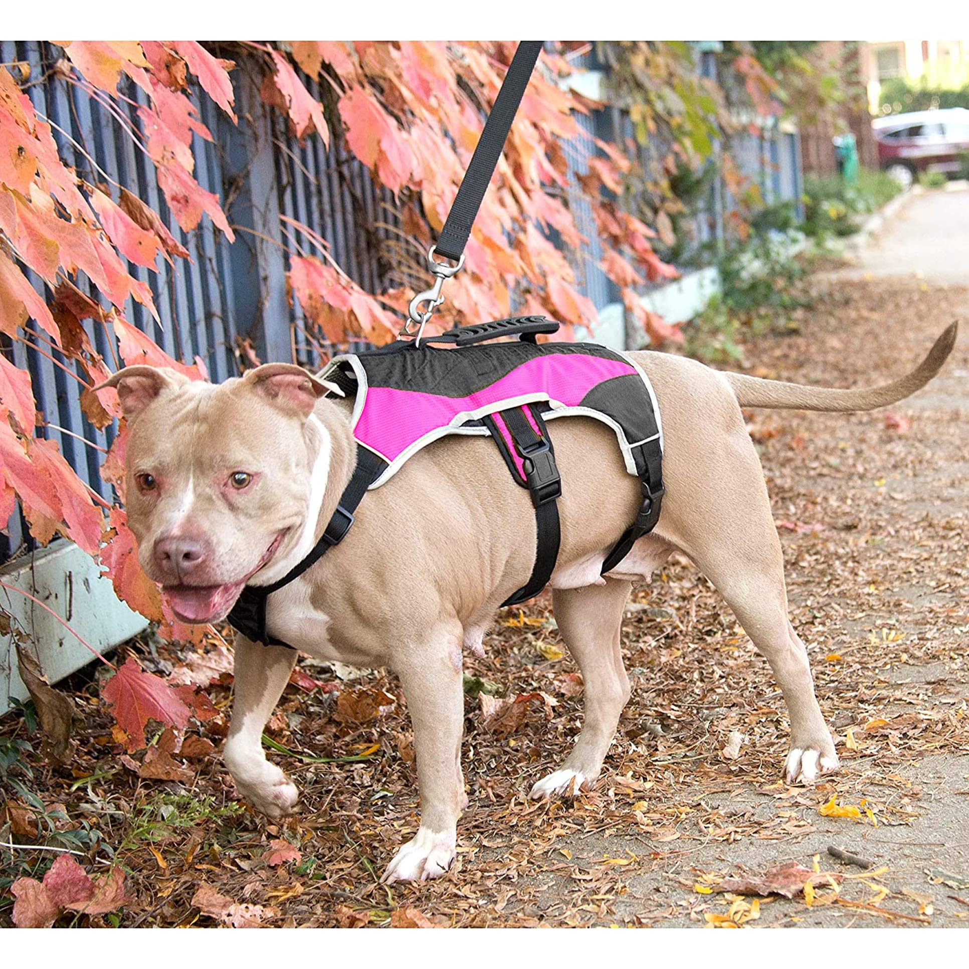 Peak Pooch - No-Pull Dog Harness - Padded, Mesh Fabric Dog Vest With Reflective Trim, Lifting Handles And Buckle Straps - Pink D