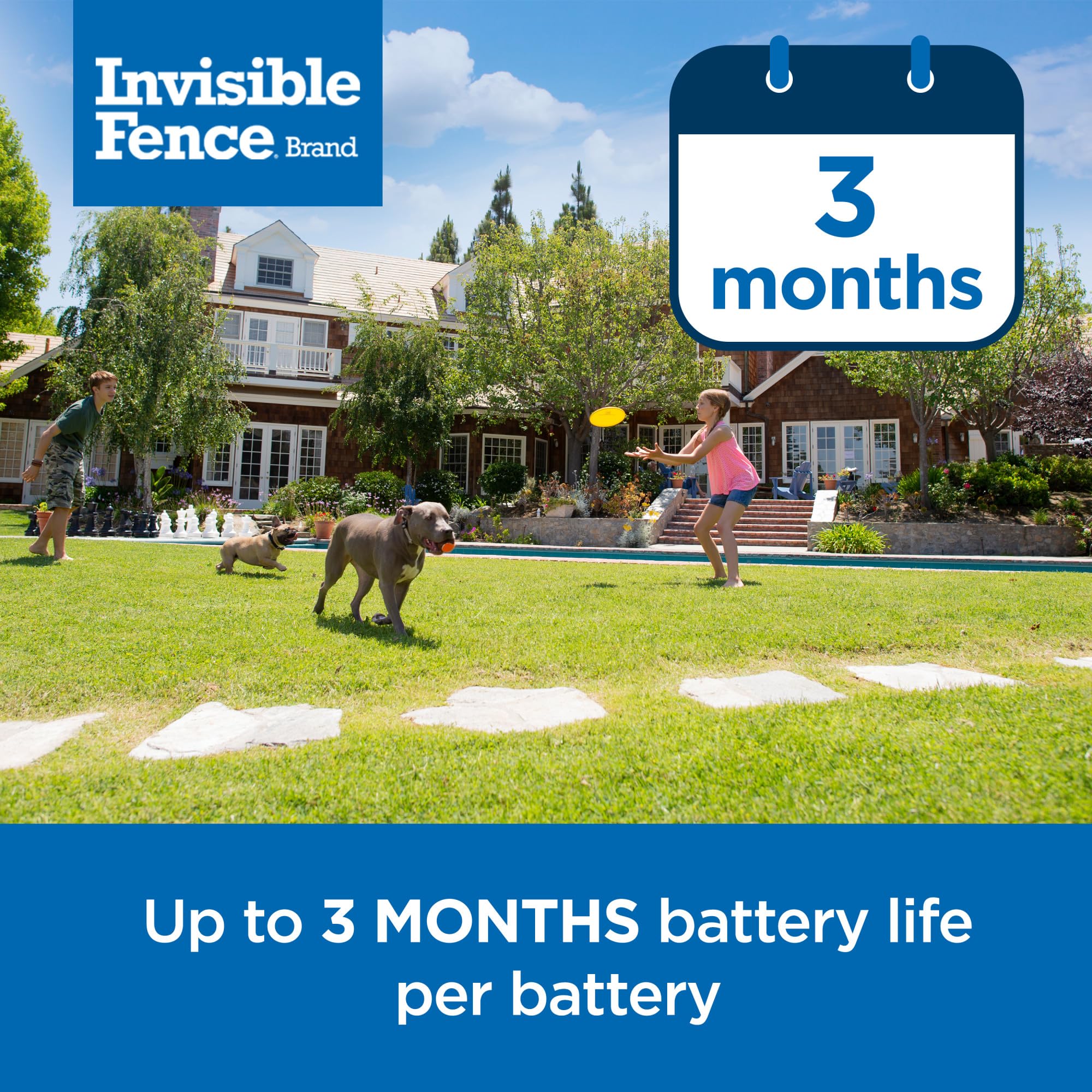 Invisible Fence Power Cap Battery - Original Replacement for Dog Collars - Long-Lasting 2 Pack - Model RAC00-17868 - Grey